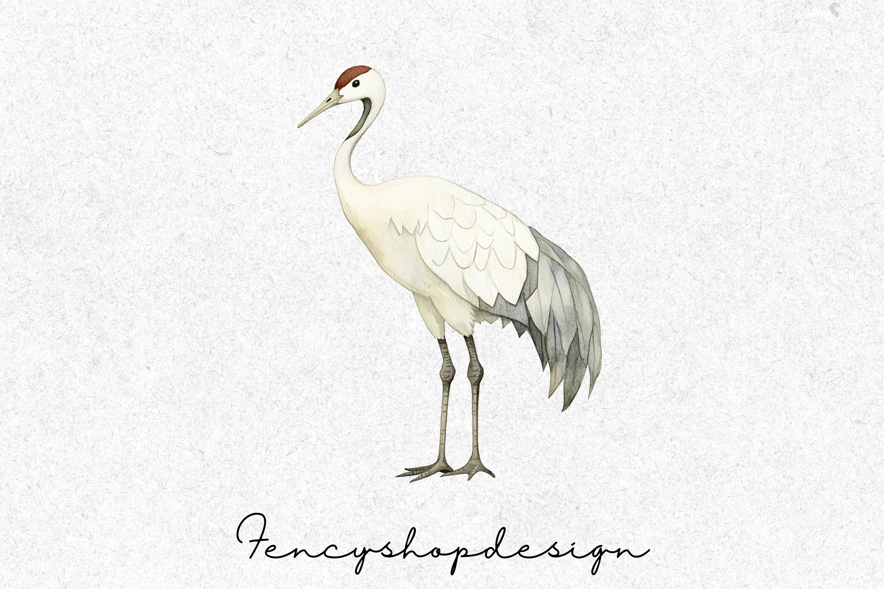 Elegant White Crane Clipart Bundle - Image 6