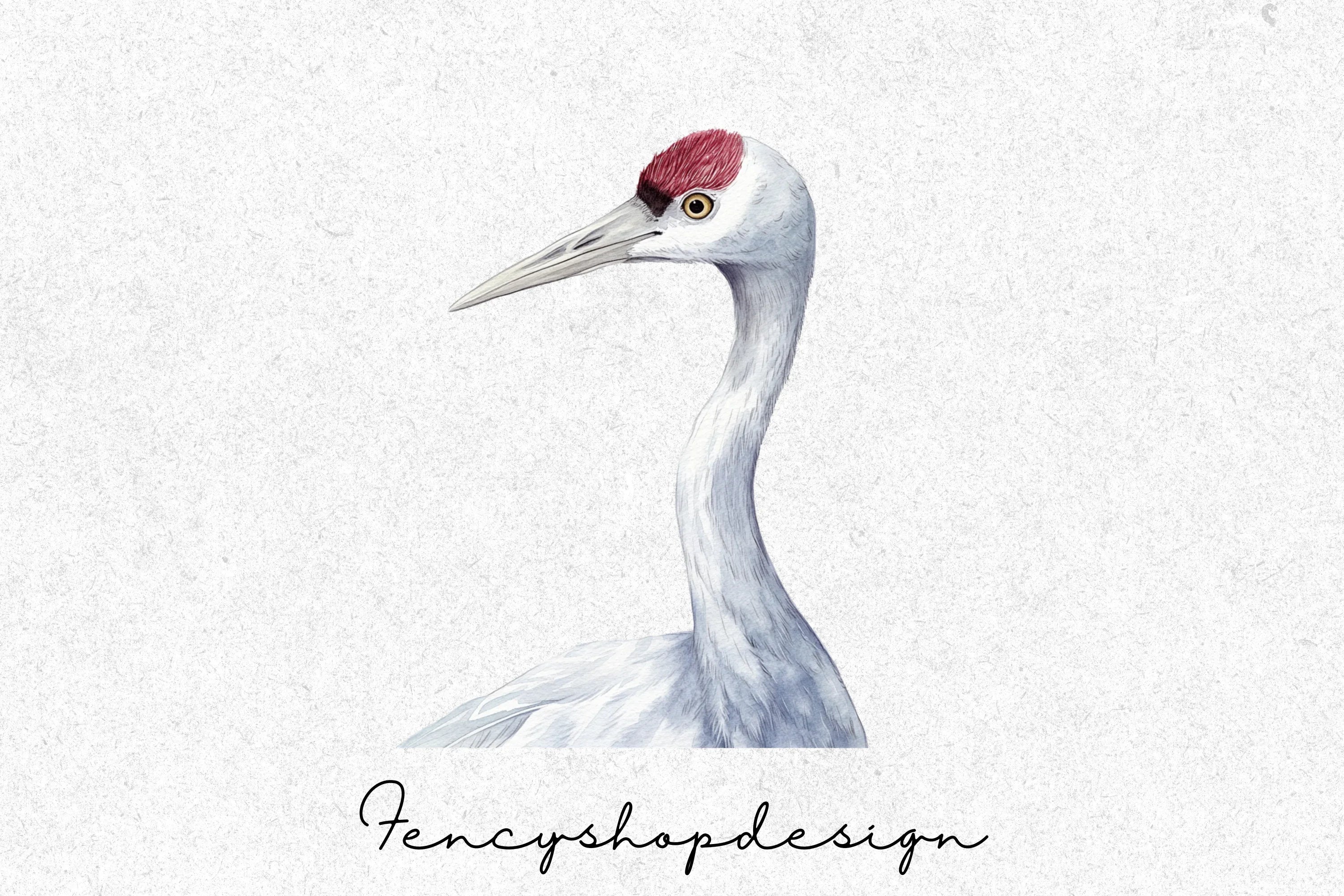 Elegant White Crane Clipart Bundle - Image 7