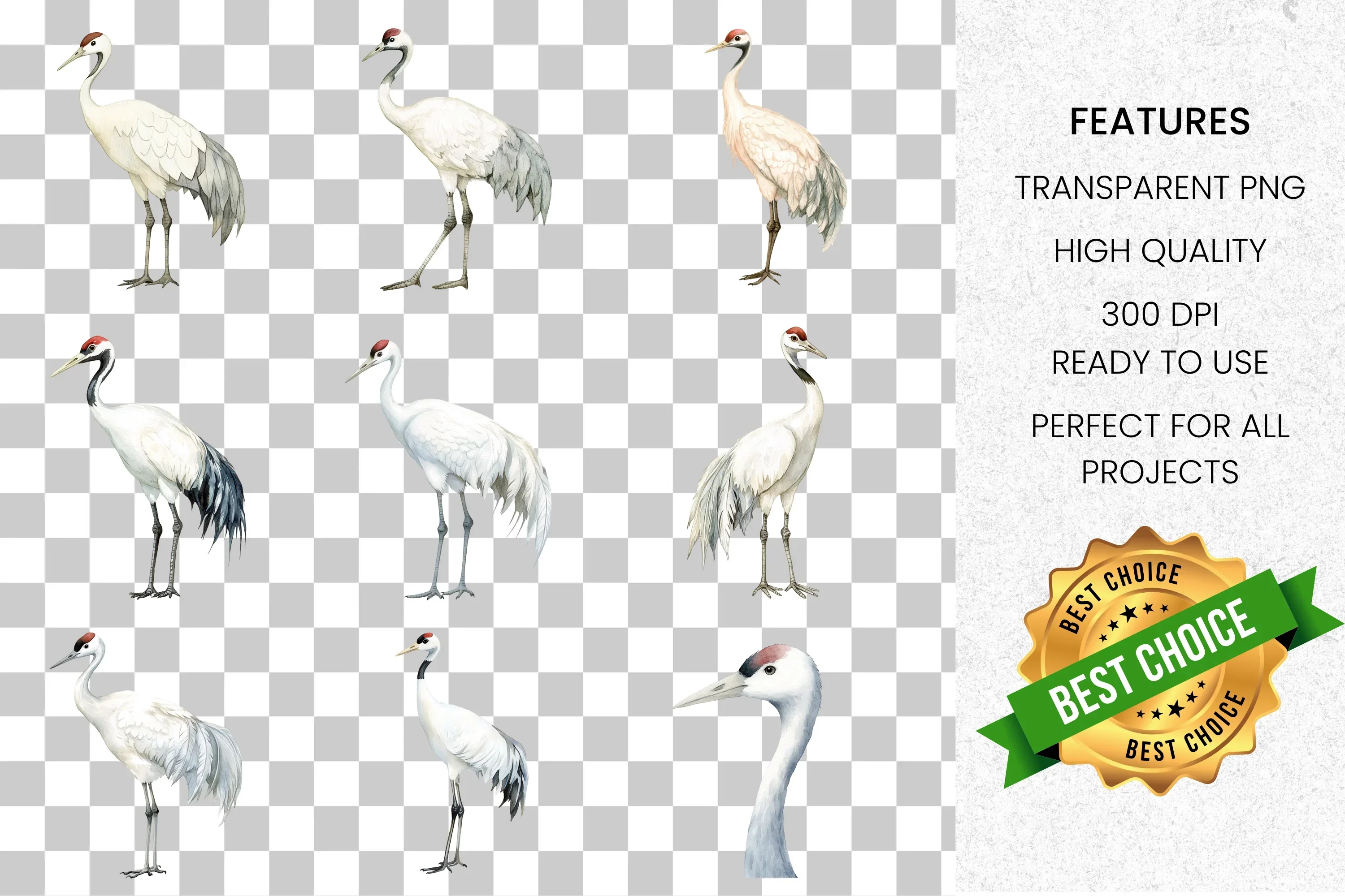 Elegant White Crane Clipart Bundle - Image 8