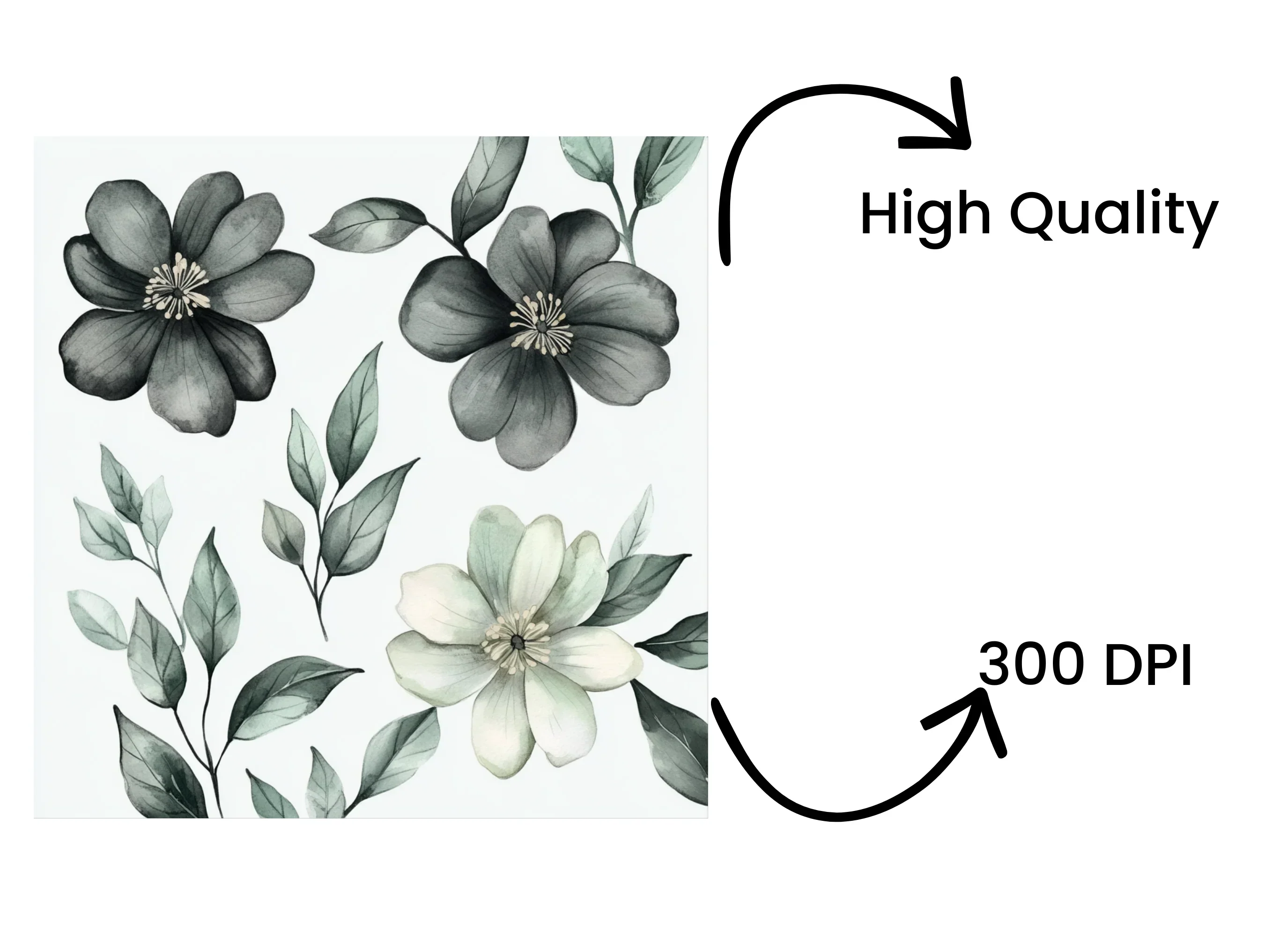 Elegant White Floral Clipart Bundle - Image 4