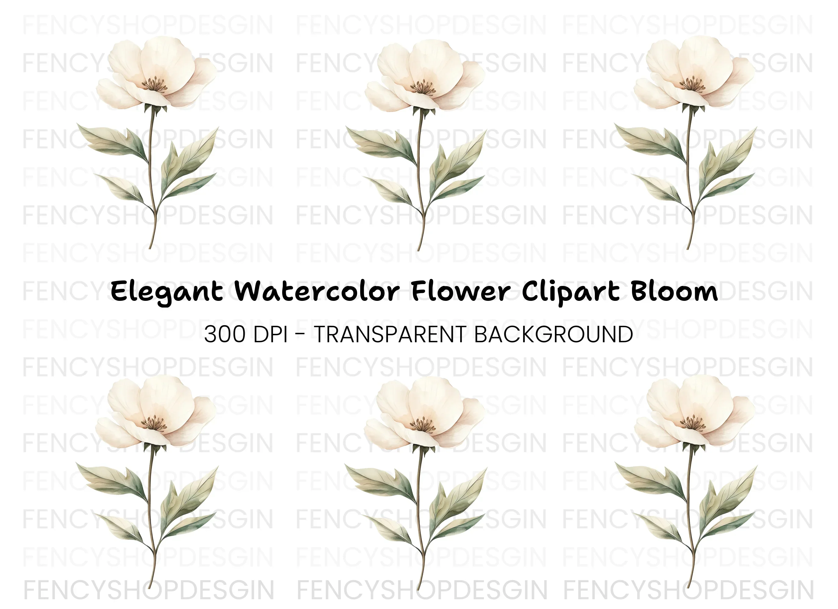 Elegant White Floral Clipart Bundle