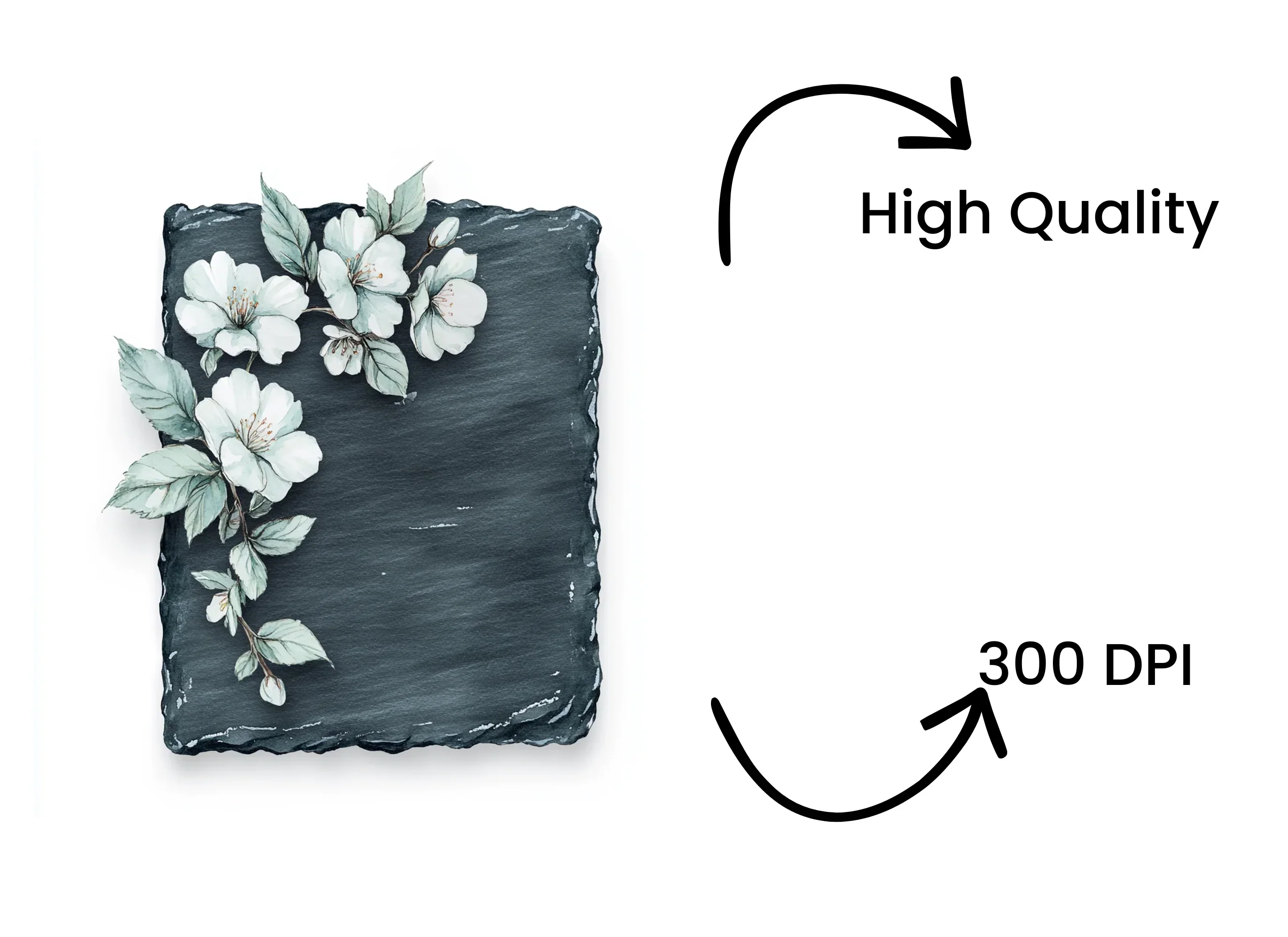 Elegant White Flowers on Slate Clipart Bundle - Image 4