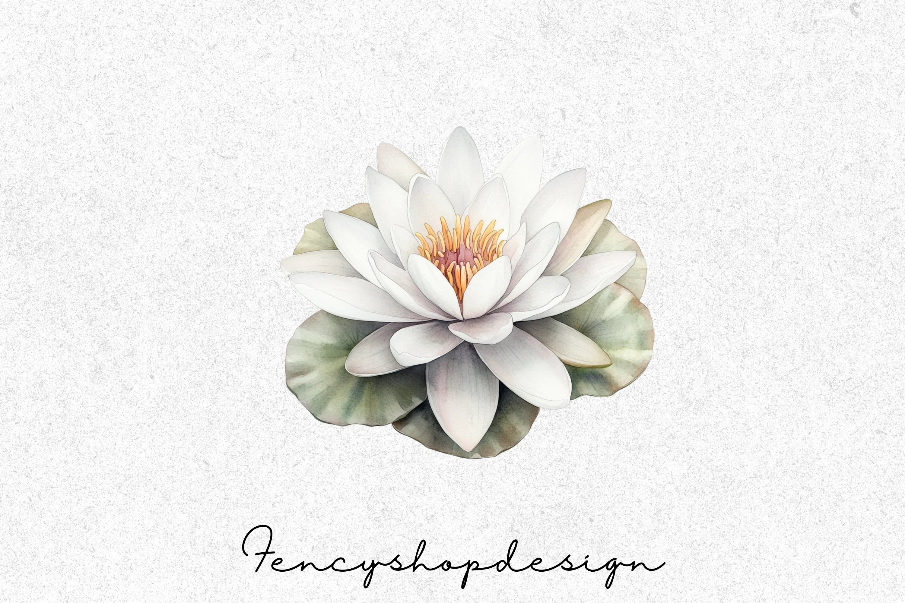 Elegant White Water Lily Clipart Bundle - Image 3