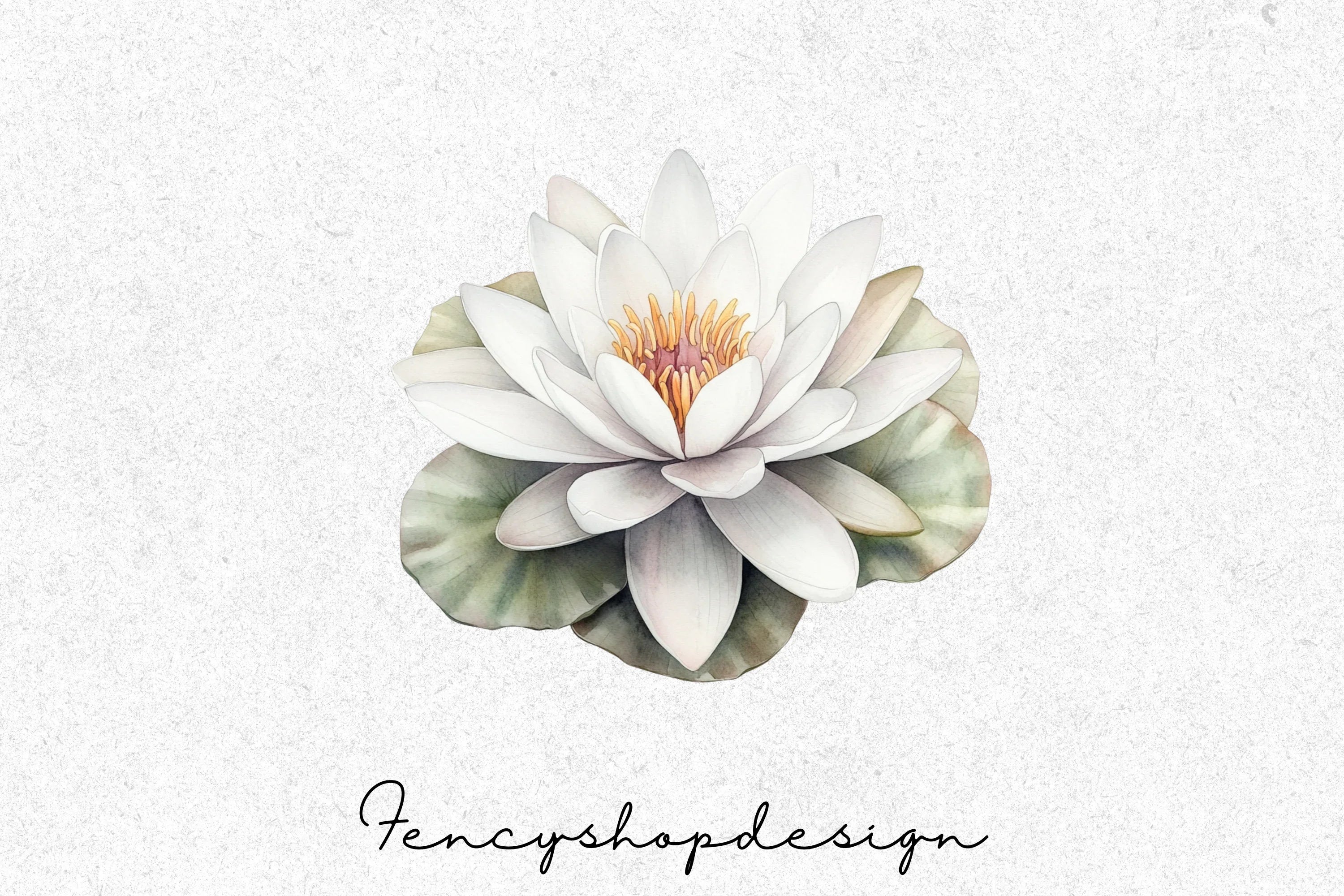 Elegant White Water Lily Clipart Bundle - Image 4