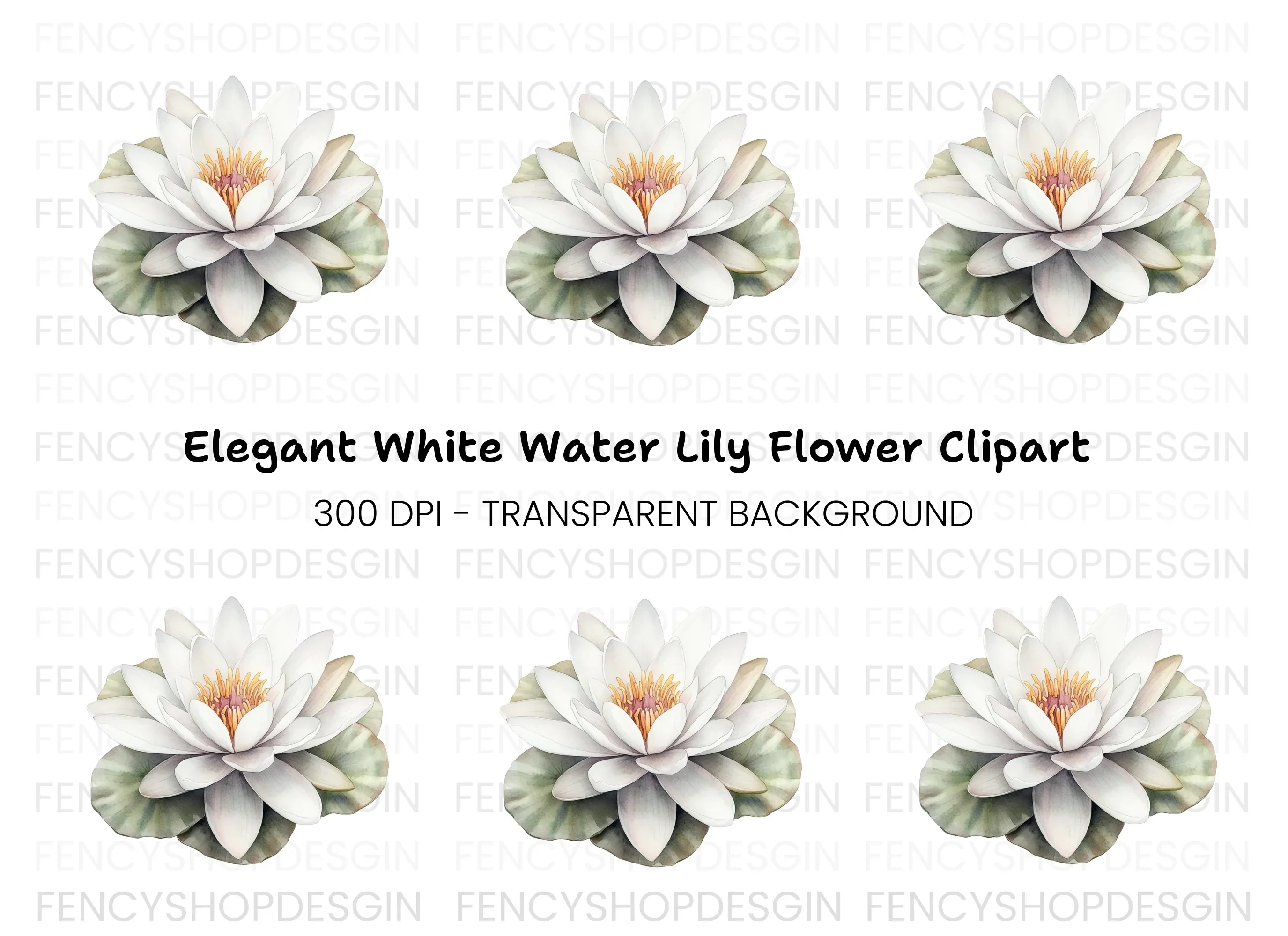 Elegant White Water Lily Clipart Bundle