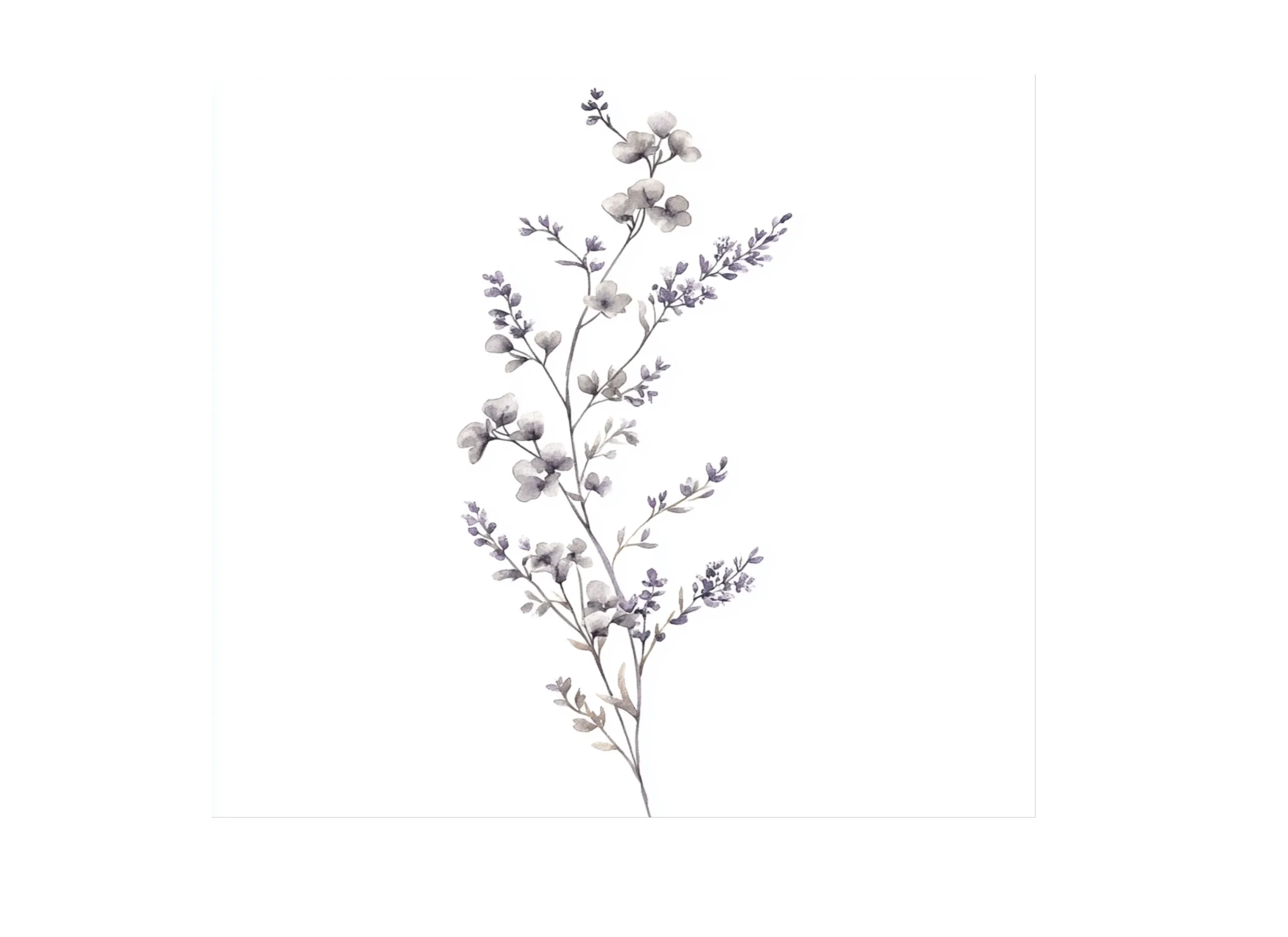 Eucalyptus and Lavender Clipart Bundle - Image 2