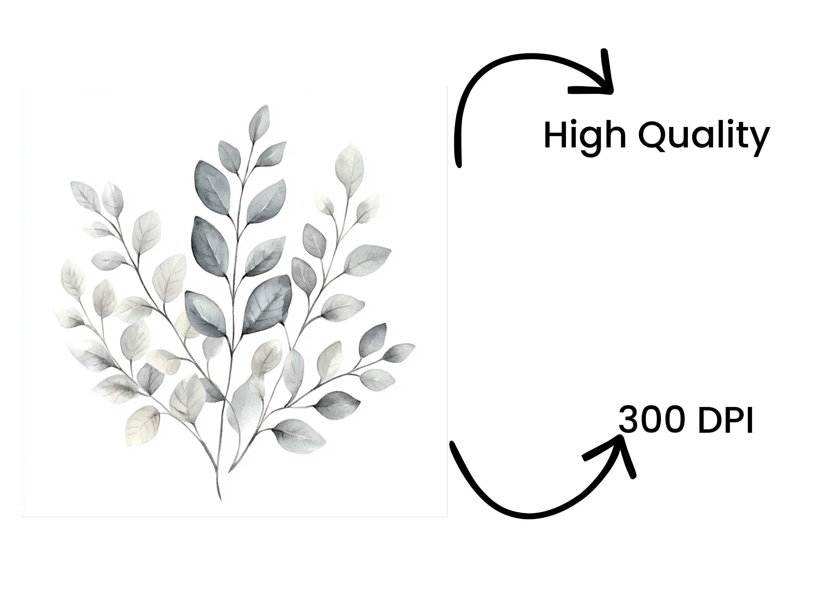 Eucalyptus Branches Clipart Bundle - Image 4