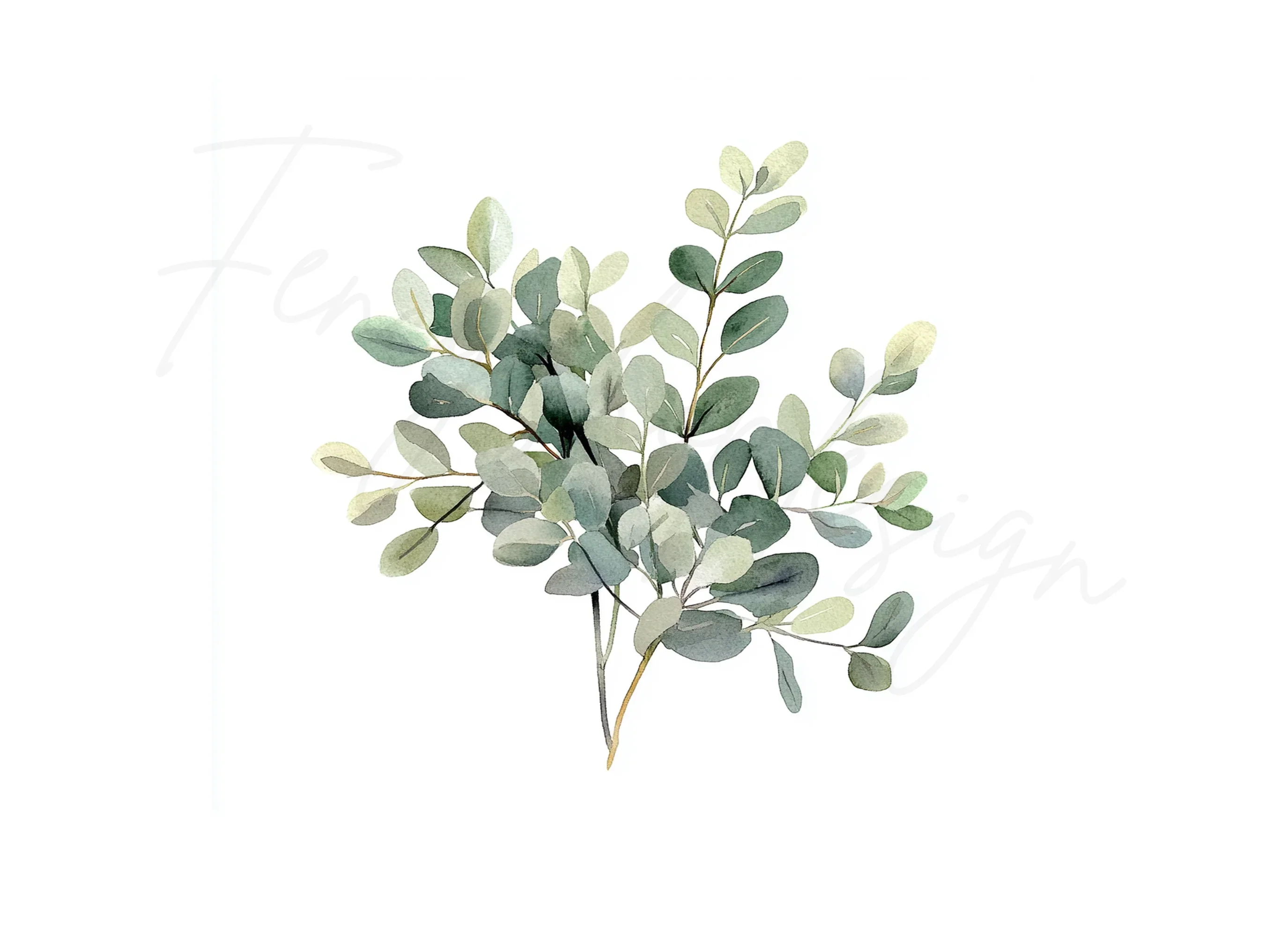 Eucalyptus Leaves Clipart Bundle - Image 3
