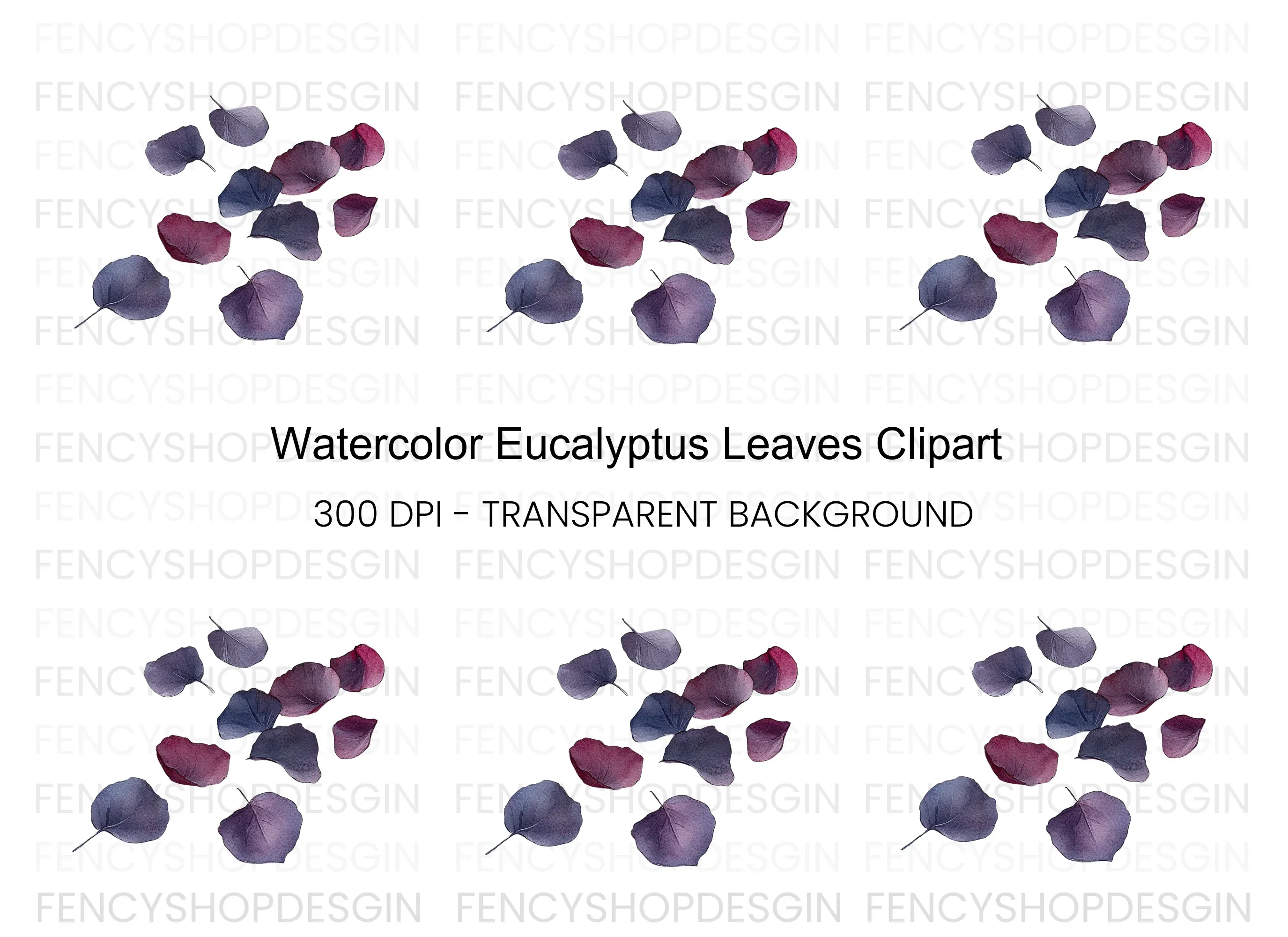 Eucalyptus Leaves Clipart Bundle