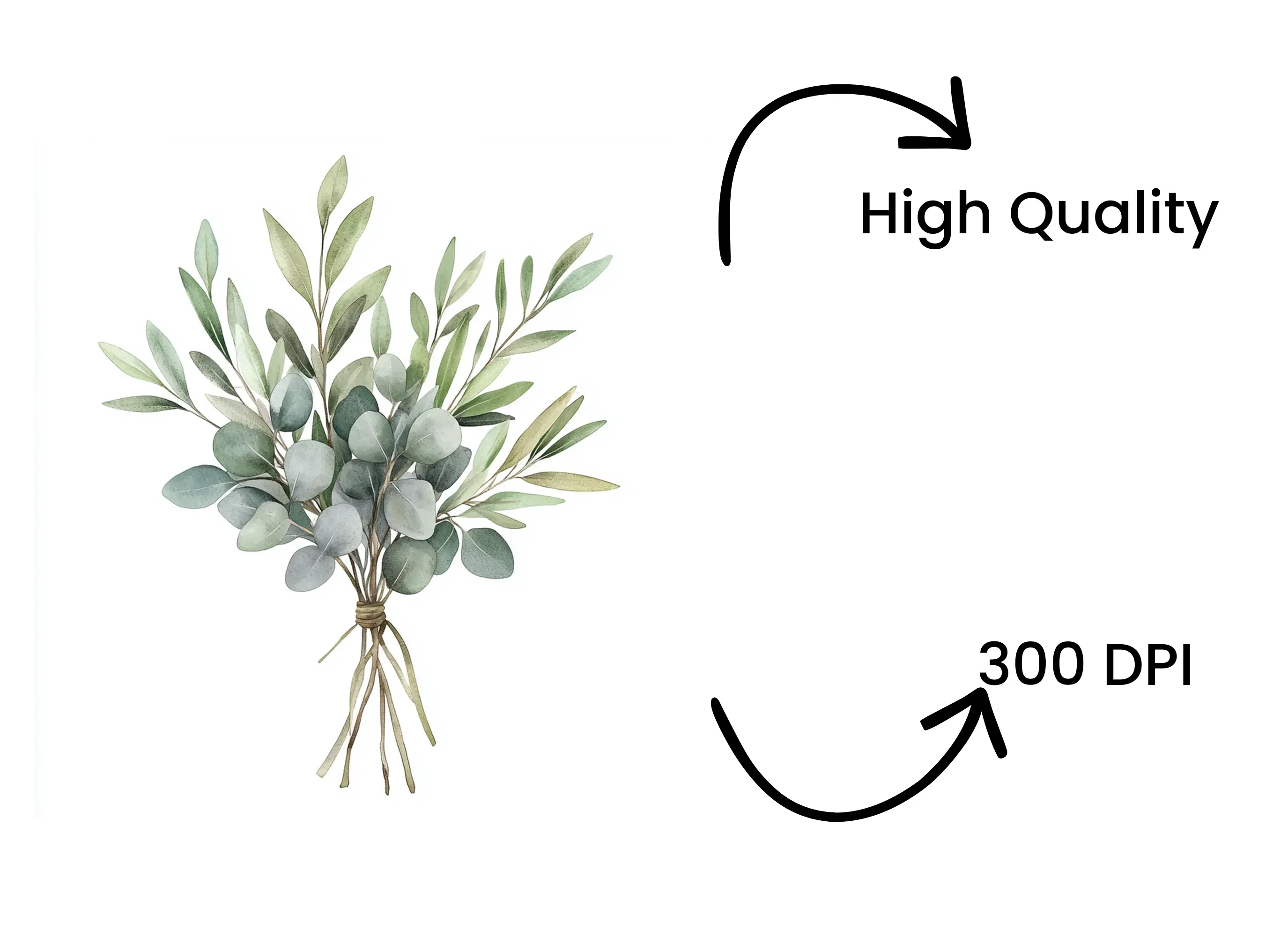 Eucalyptus Olive Bouquets Clipart Bundle - Image 4