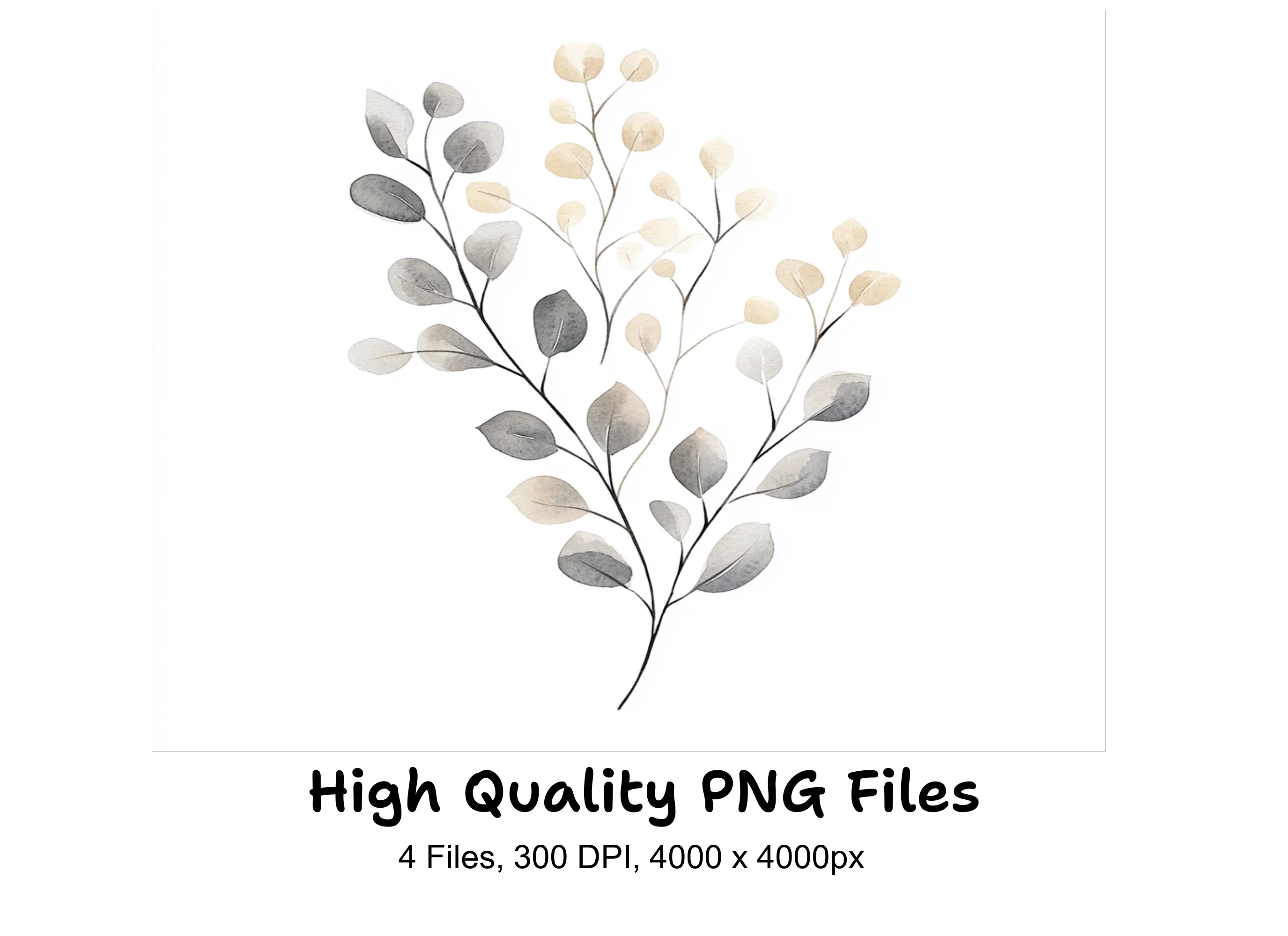 Eucalyptus Willow Clipart Bundle