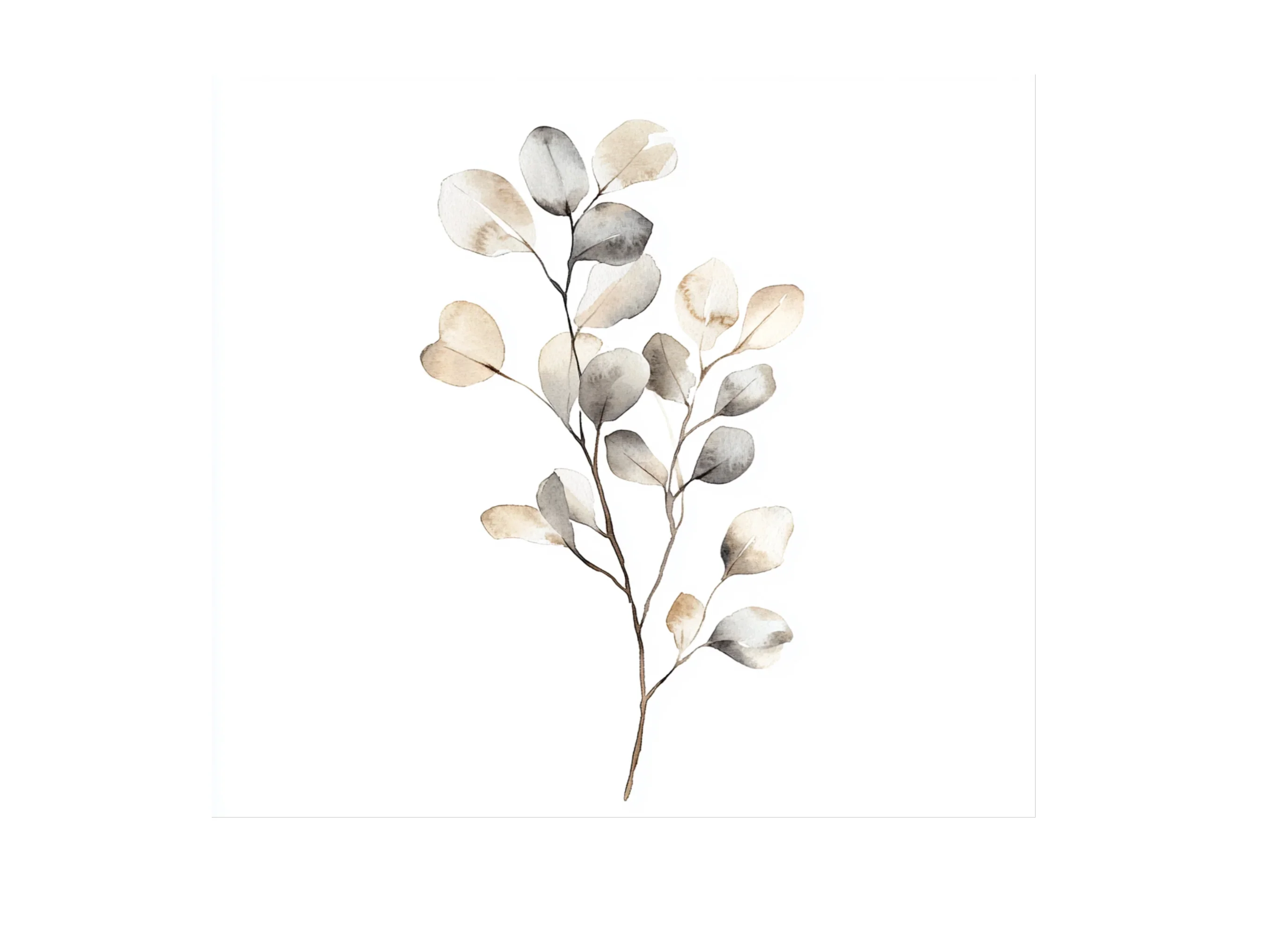 Eucalyptus Willow Clipart Bundle - Image 3