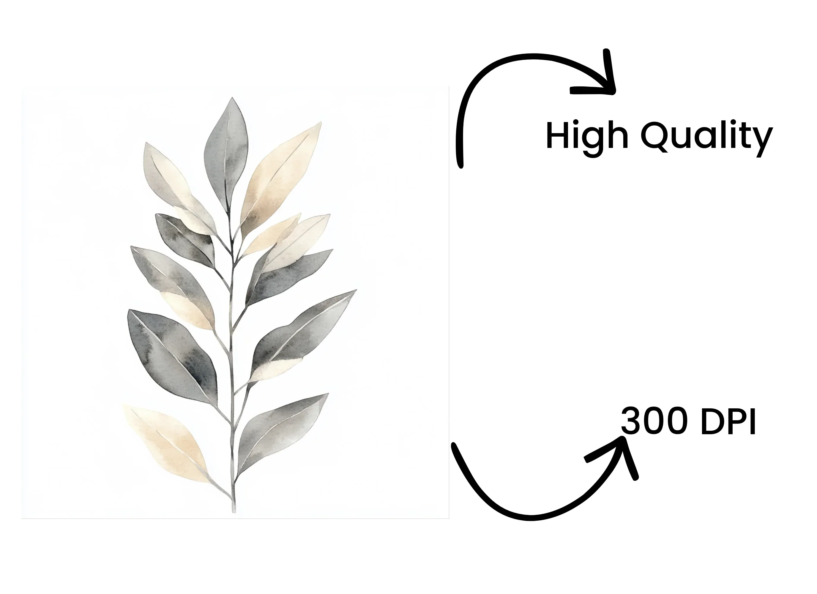 Eucalyptus Willow Clipart Bundle - Image 4
