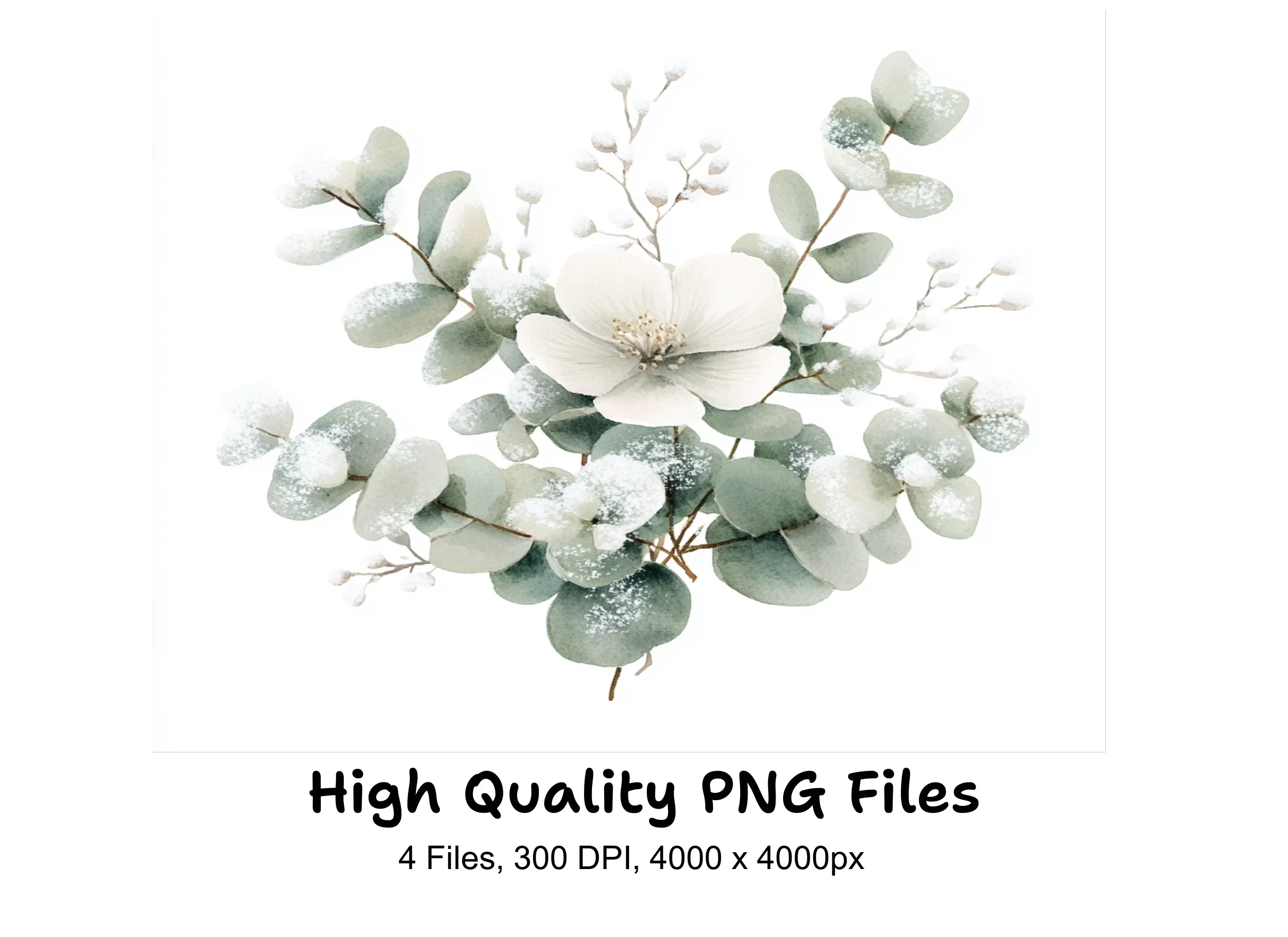 Eucalyptus Winter Flower Clipart Bundle