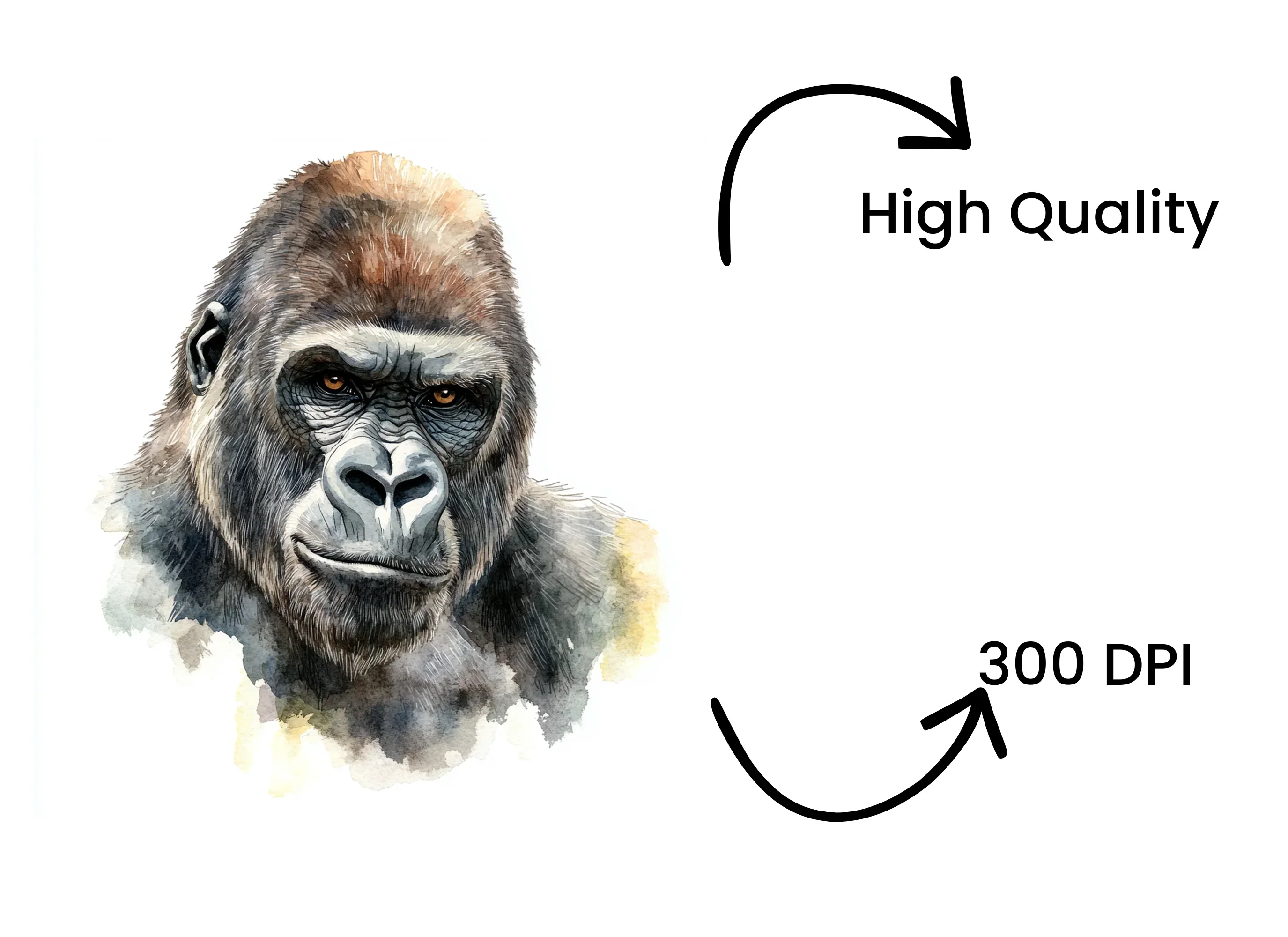 Expressive Gorilla Clipart Bundle - Image 4