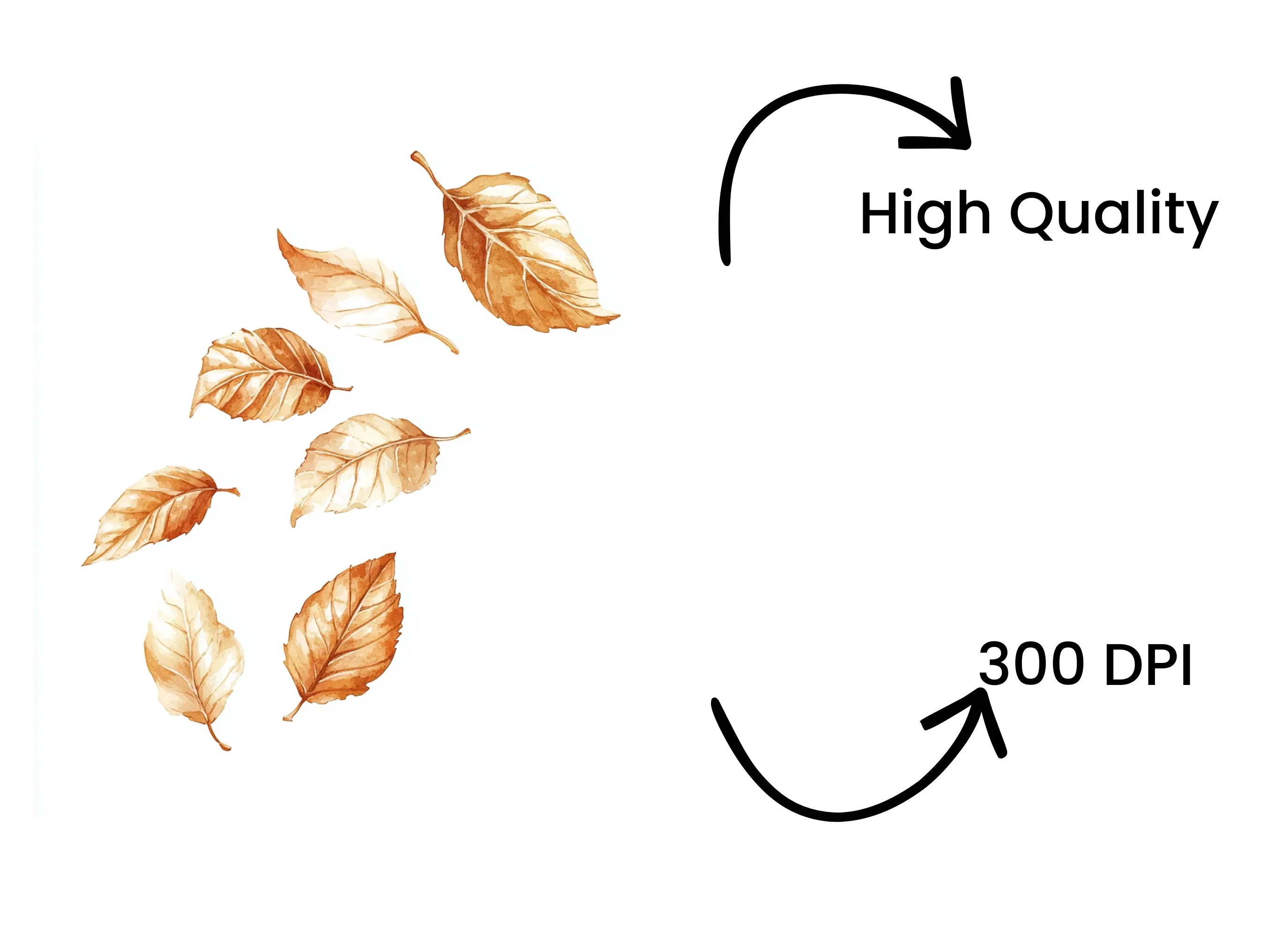 Falling Autumn Leaves Clipart Bundle - Image 4