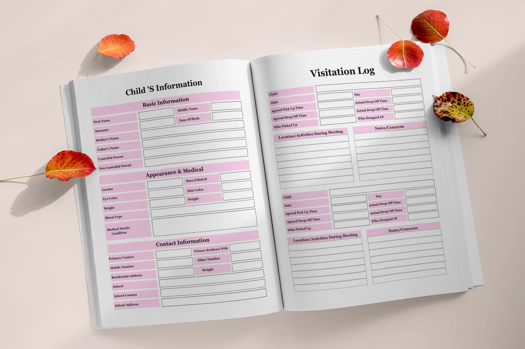 Family Court Binder Guide - Image 2