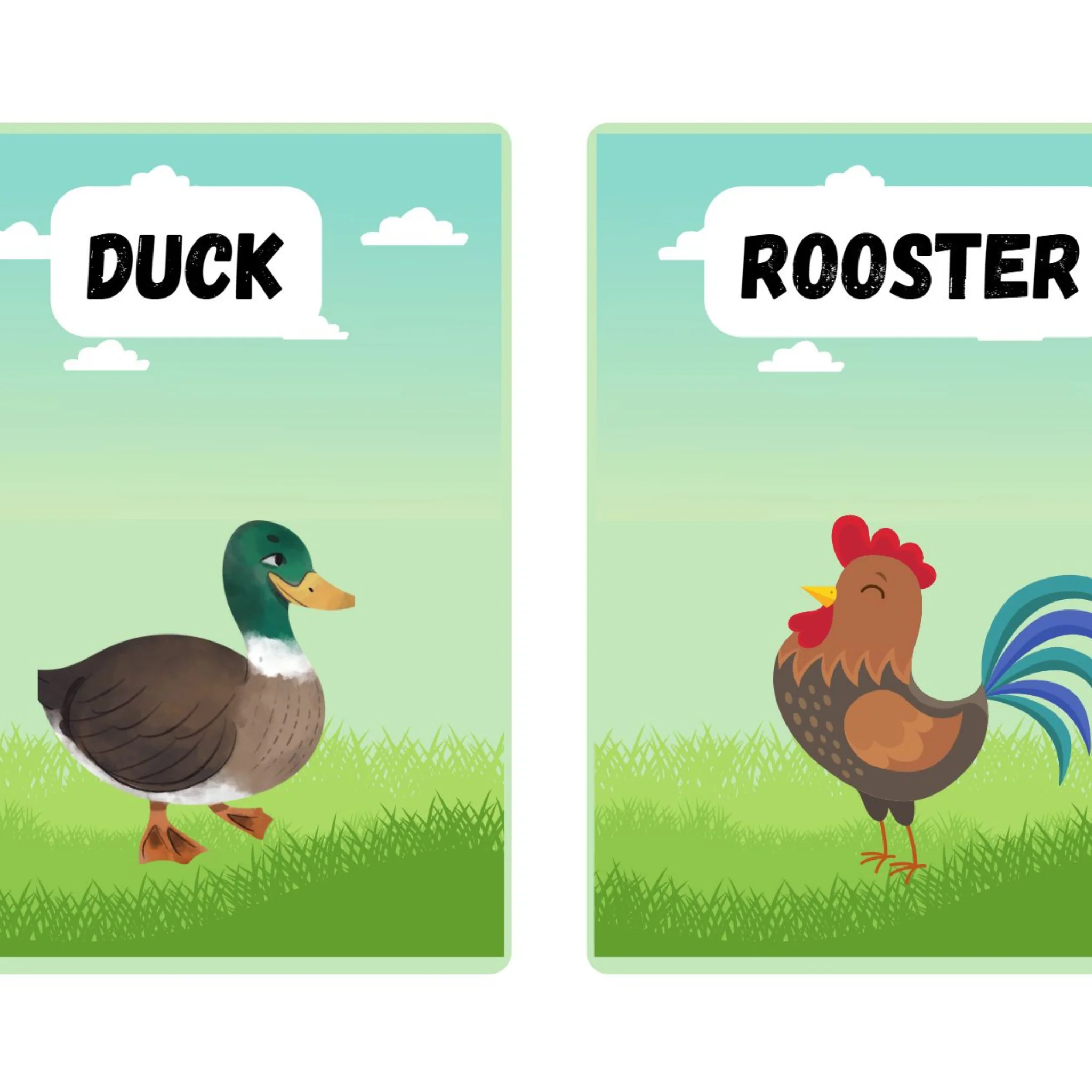 Farm Animals Flashcards for Kids - Image 4