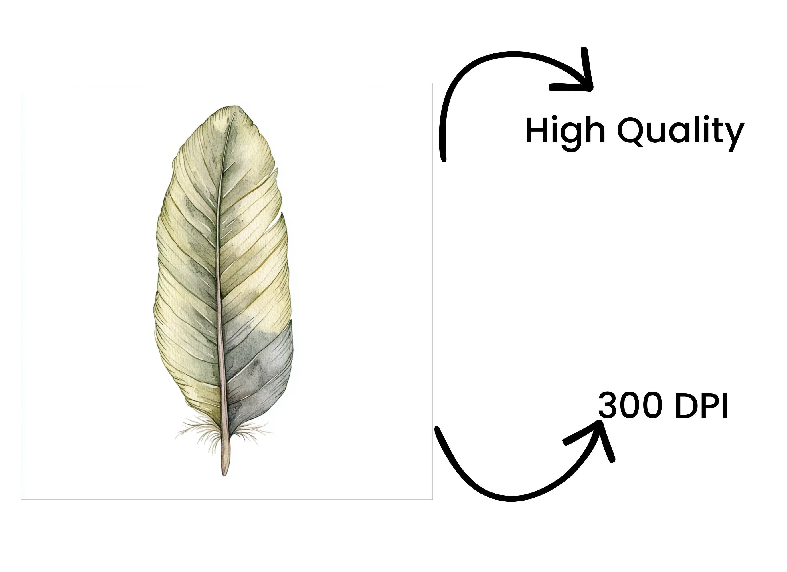 Feathers Clipart Bundle - Image 4