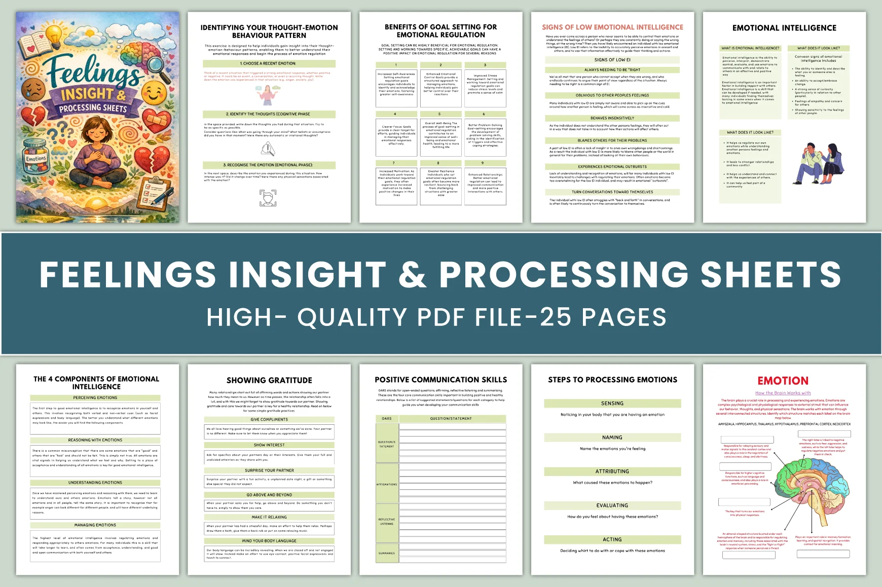 Feelings Insight Processing Sheets Journal