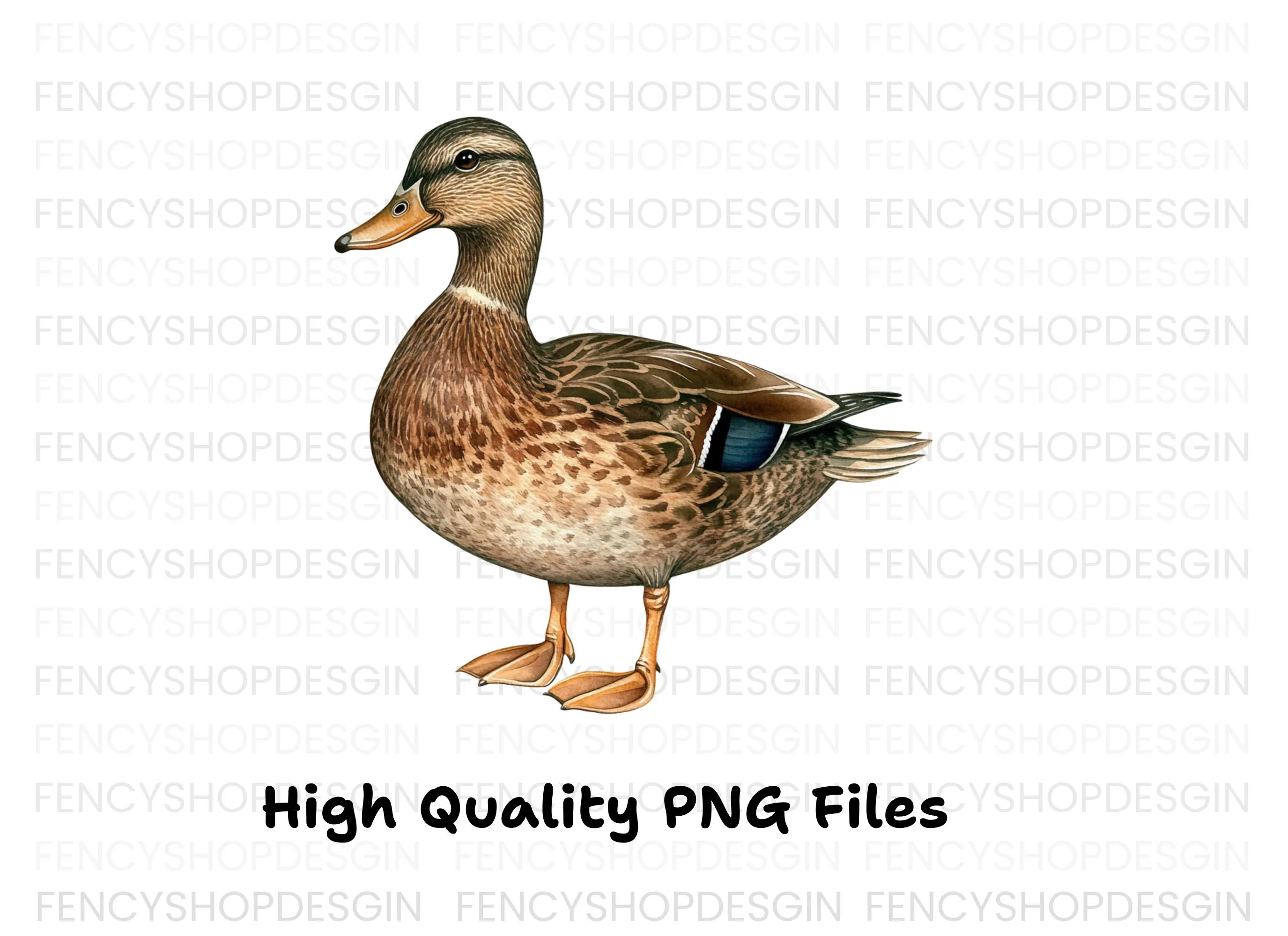 Female Mallard Duck Clipart Bundle - Image 2