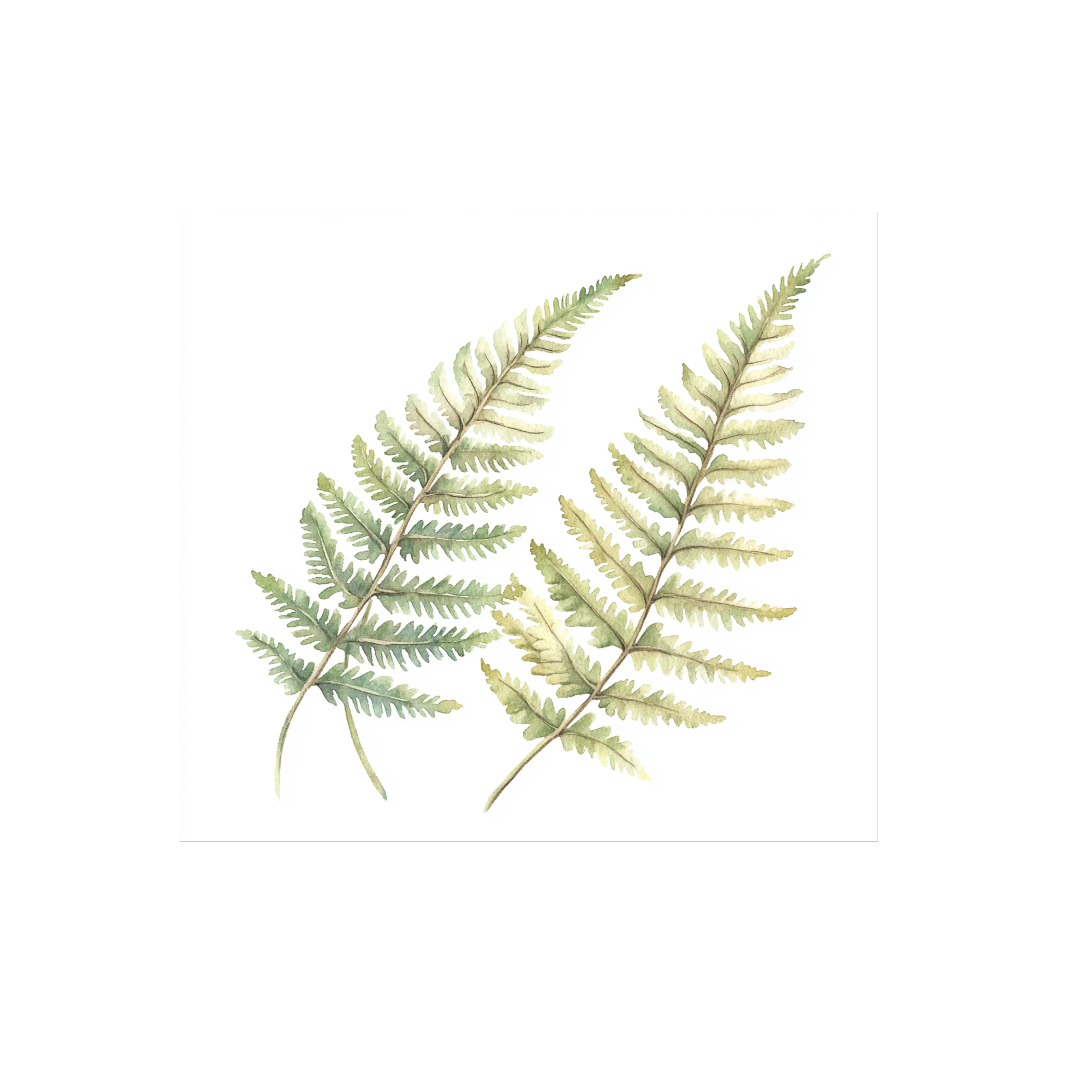 Fern Leaves Clipart Bundle - Image 2