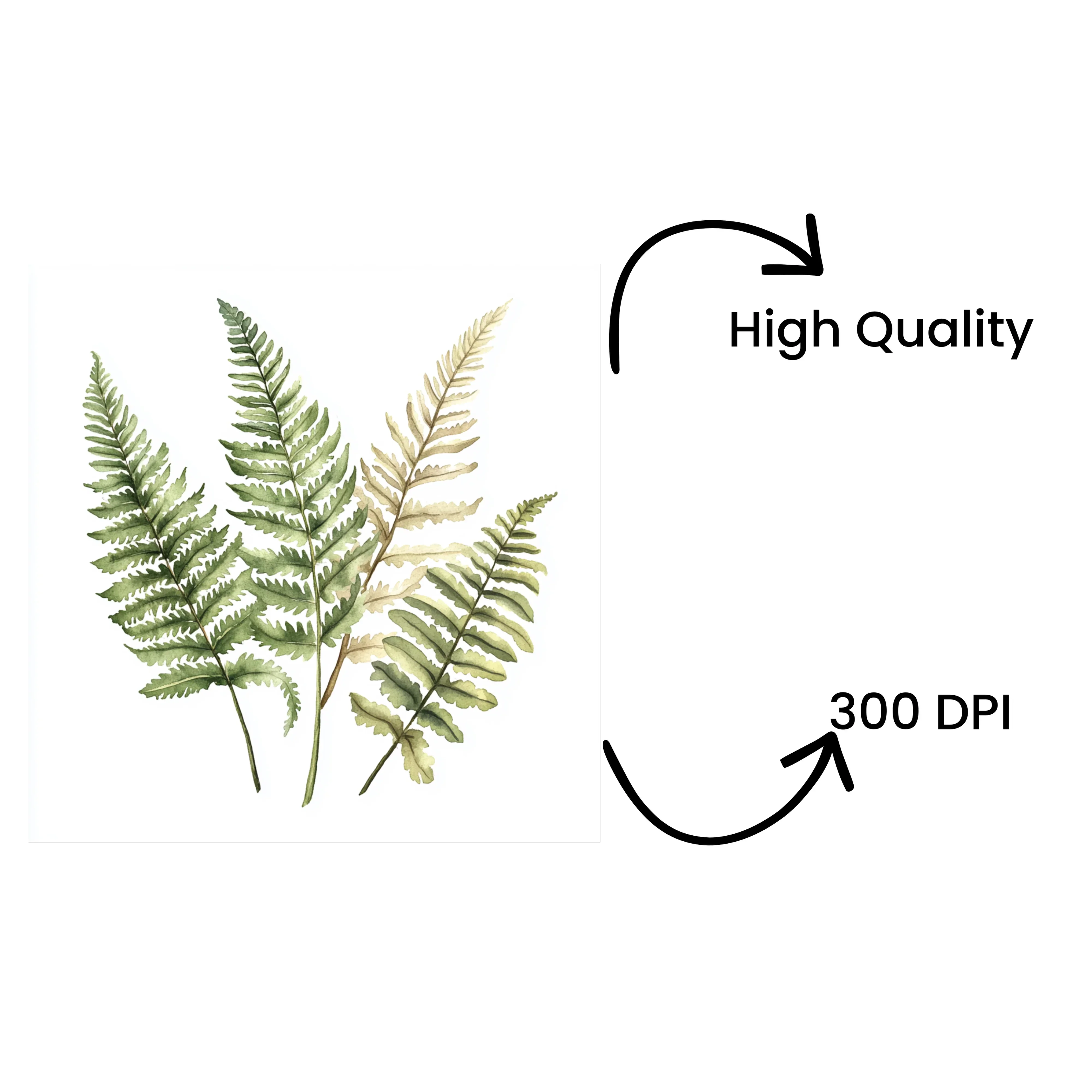 Fern Leaves Clipart Bundle - Image 4