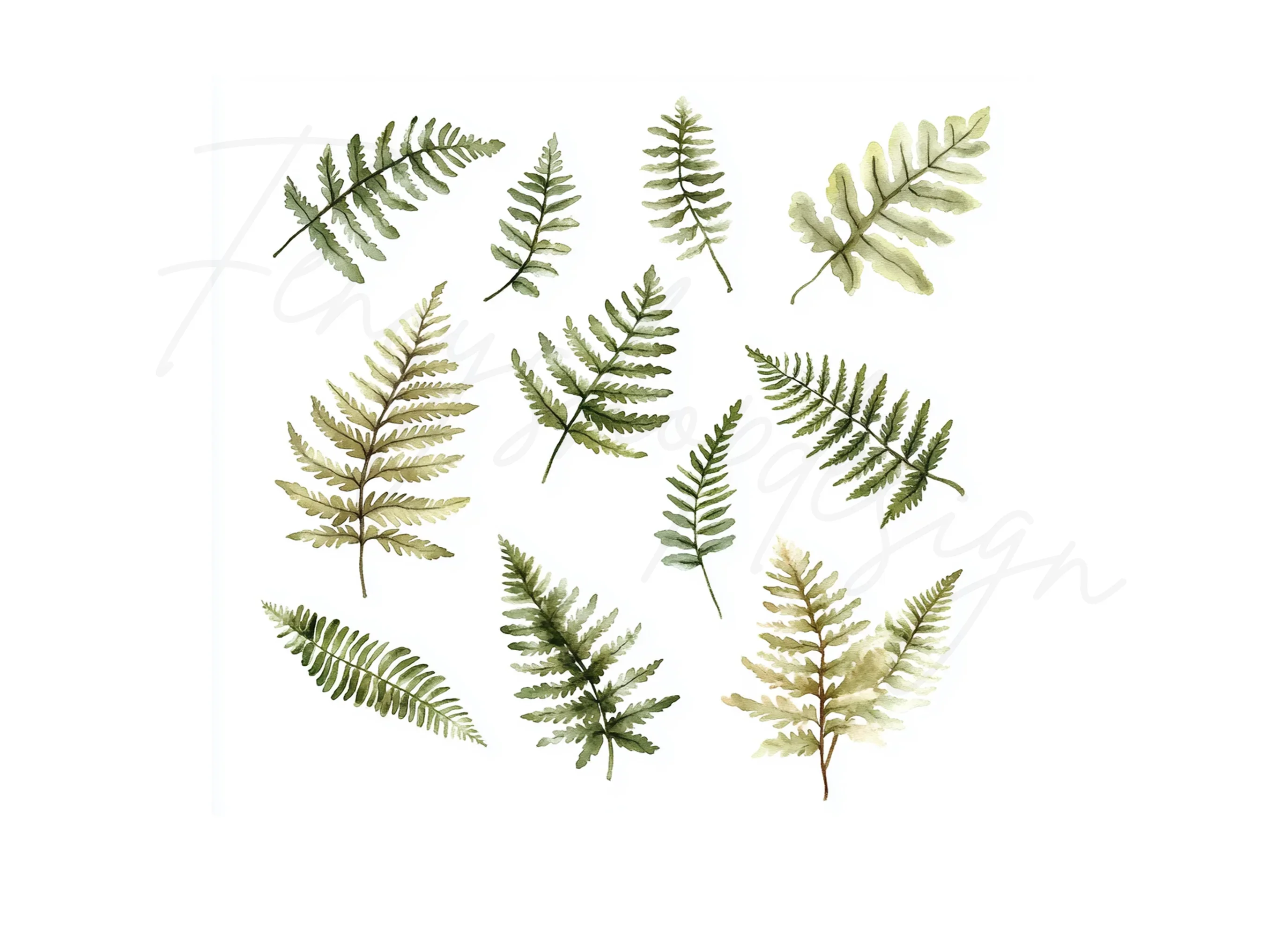 Fern Leaves Clipart Bundle