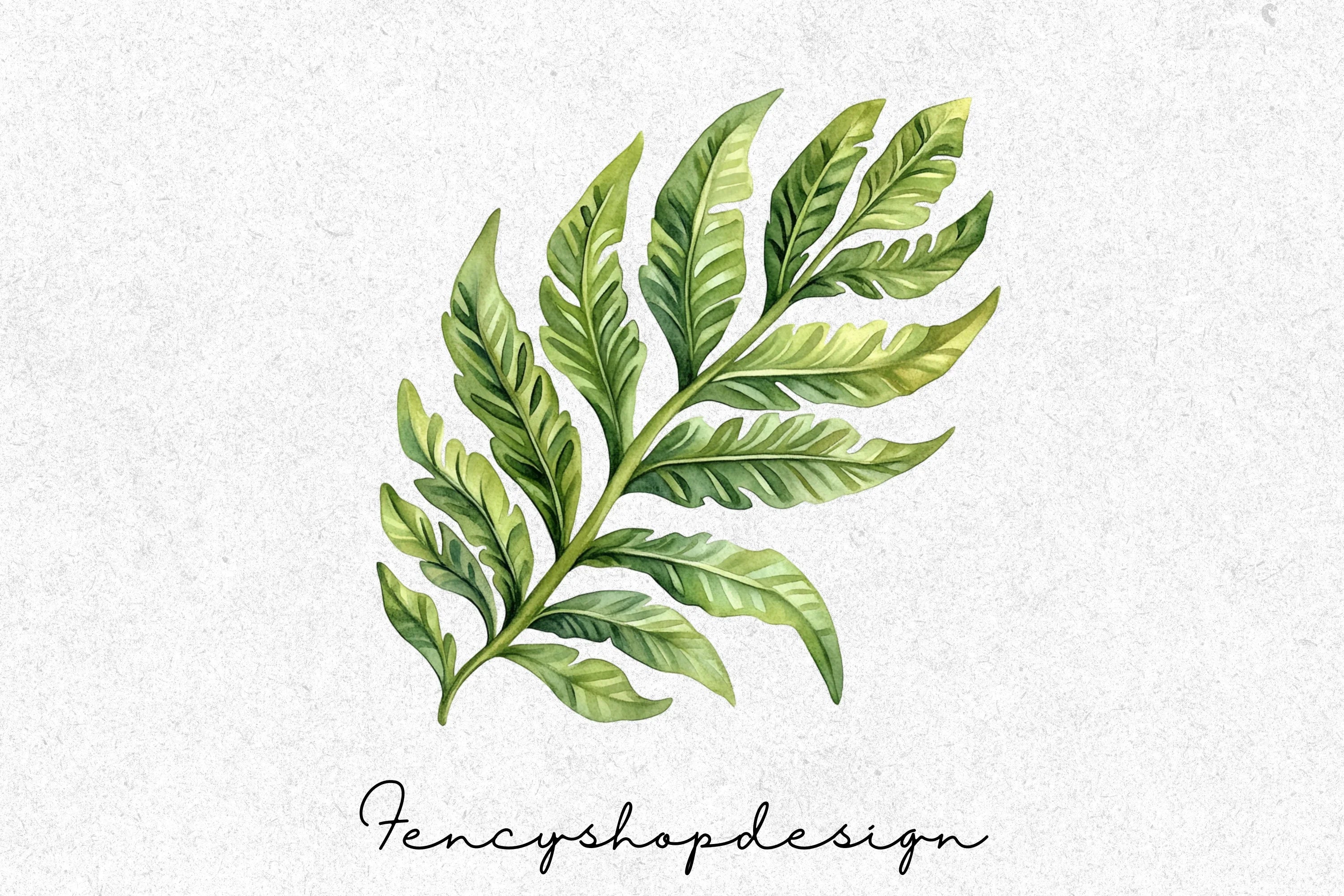 Fern Leaves Clipart Bundle - Image 4