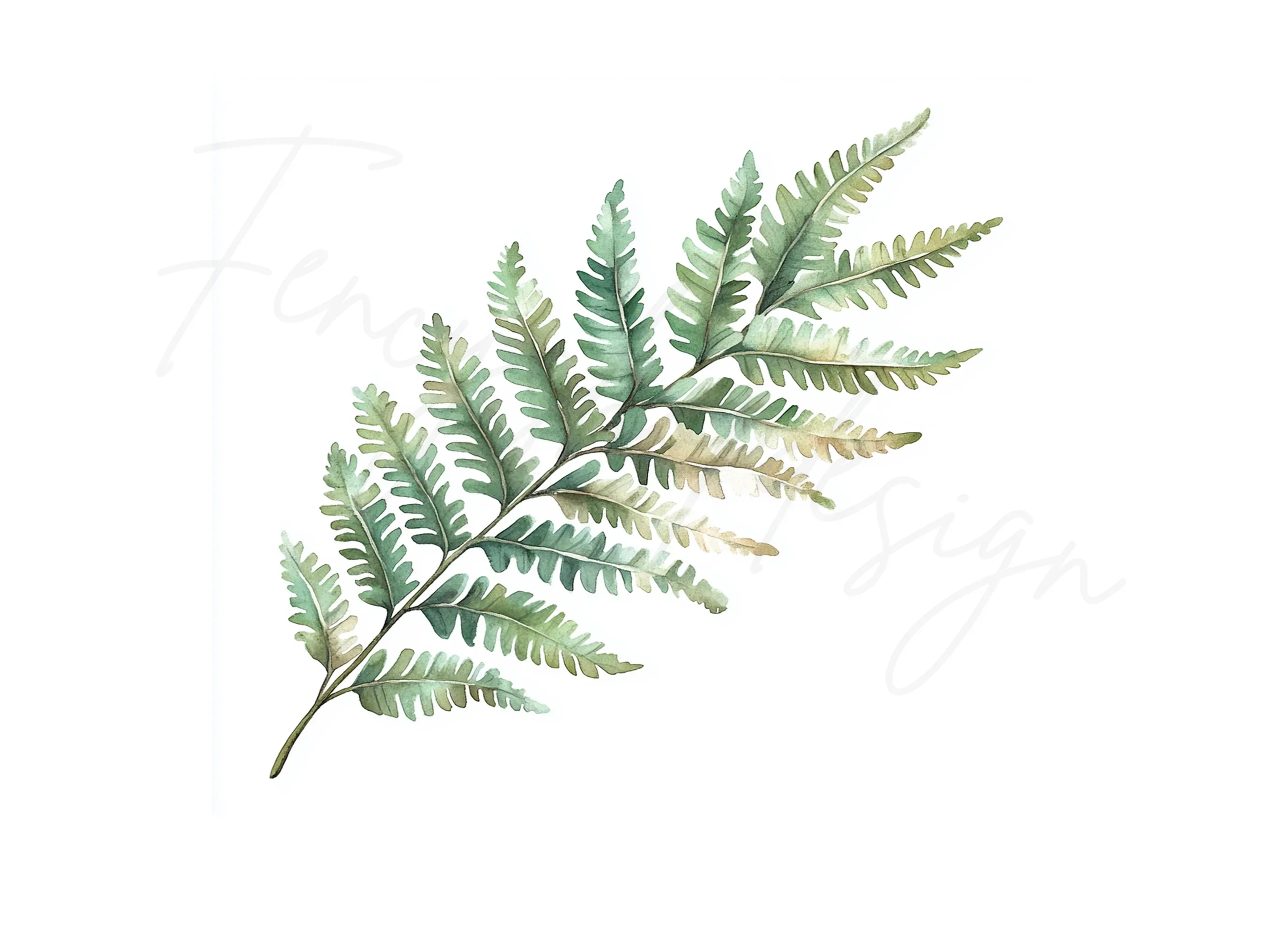 Fern Leaves Clipart Bundle - Image 3