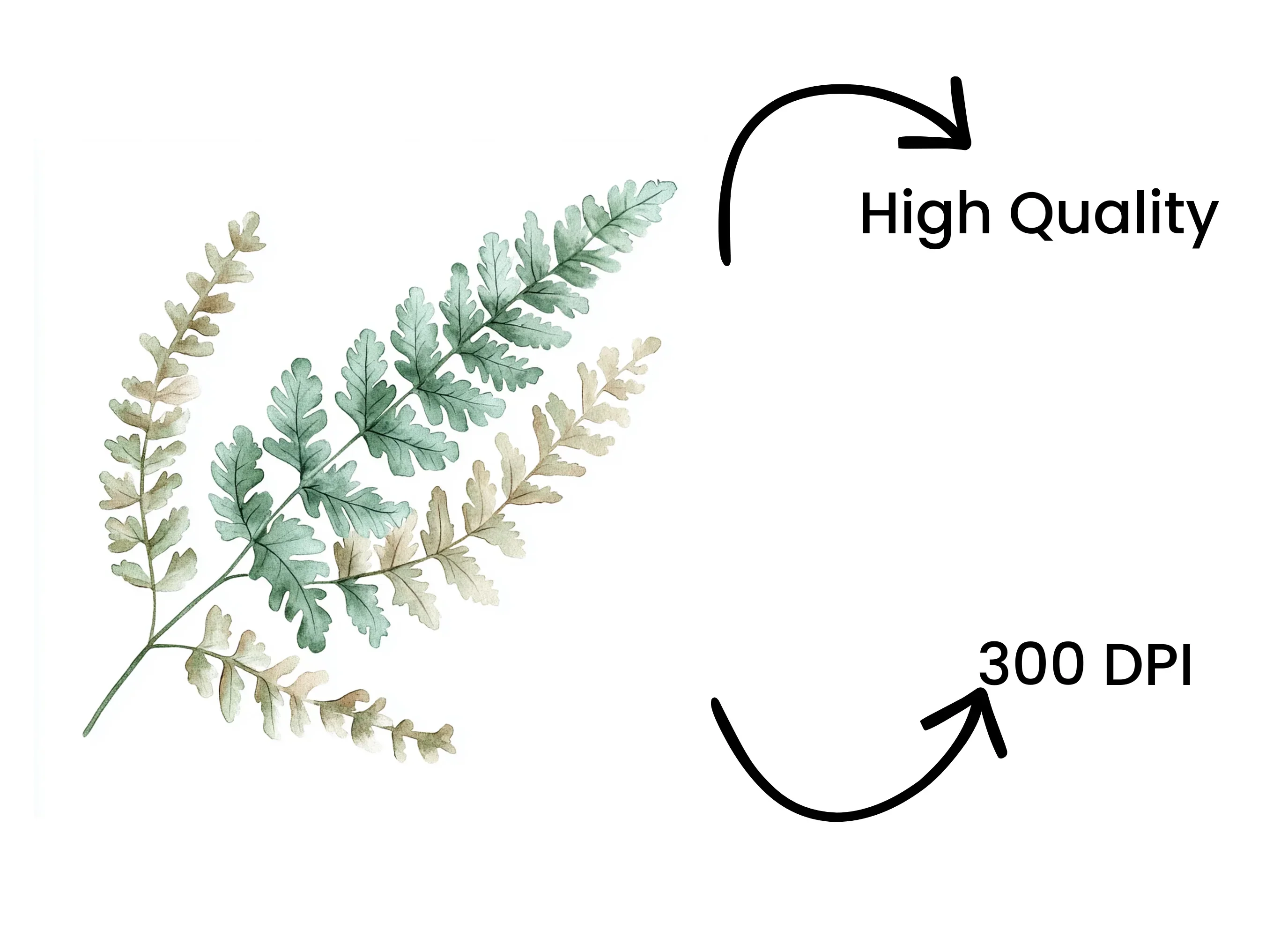 Fern Leaves Clipart Bundle - Image 4