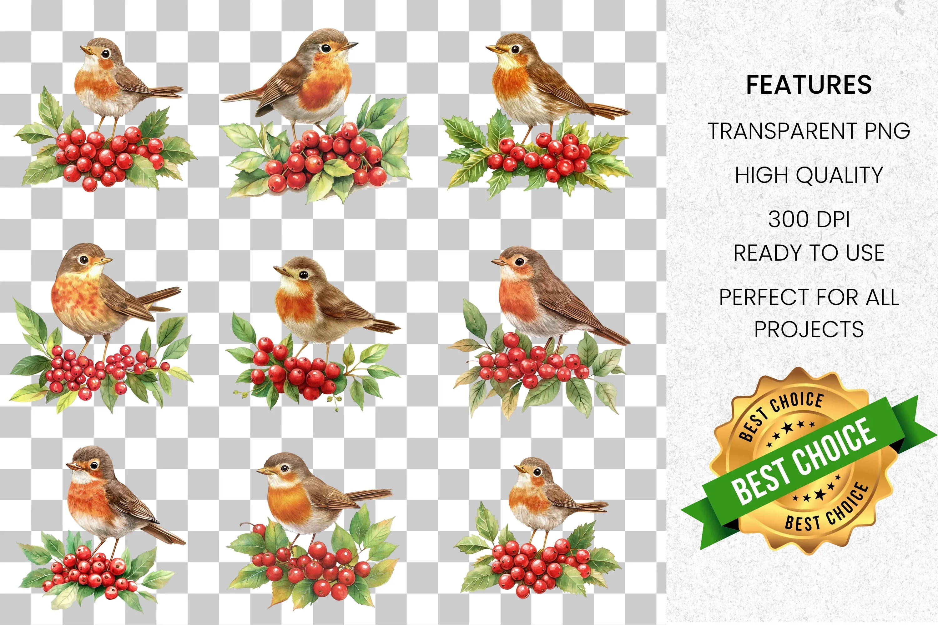 Festive Robin Bird and Holly Berry Clipart Bundle - Image 2