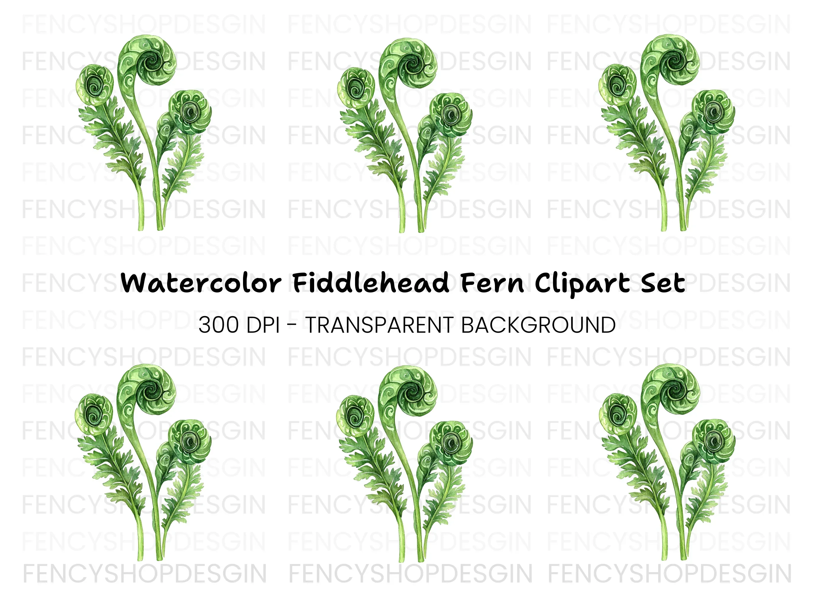Fiddlehead Ferns Clipart Bundle