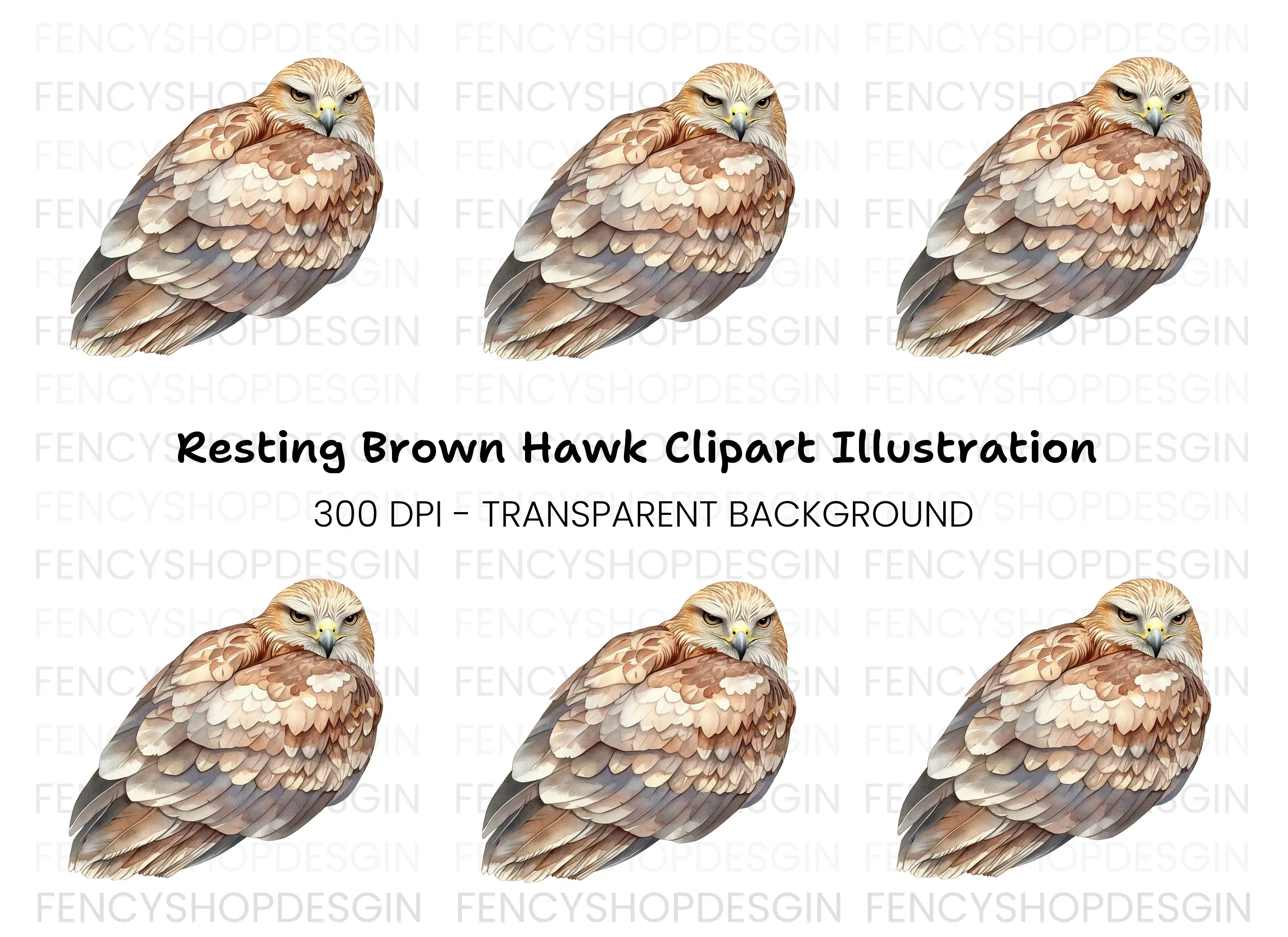 Fierce Hawk Illustration Clipart Bundle