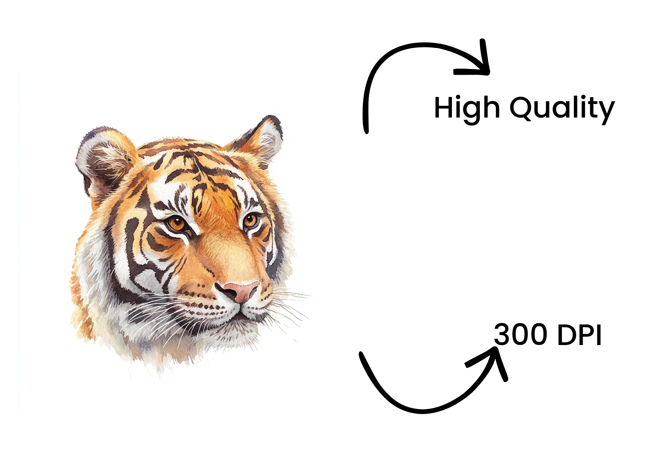 Fierce Tiger Head Clipart Bundle - Image 4