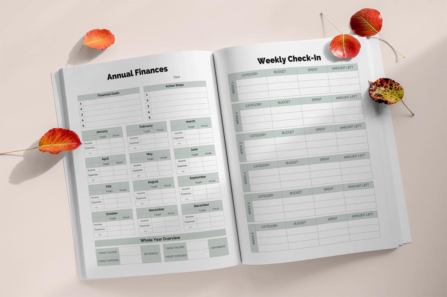Financial Freedom Debt Payoff Planner - Image 3