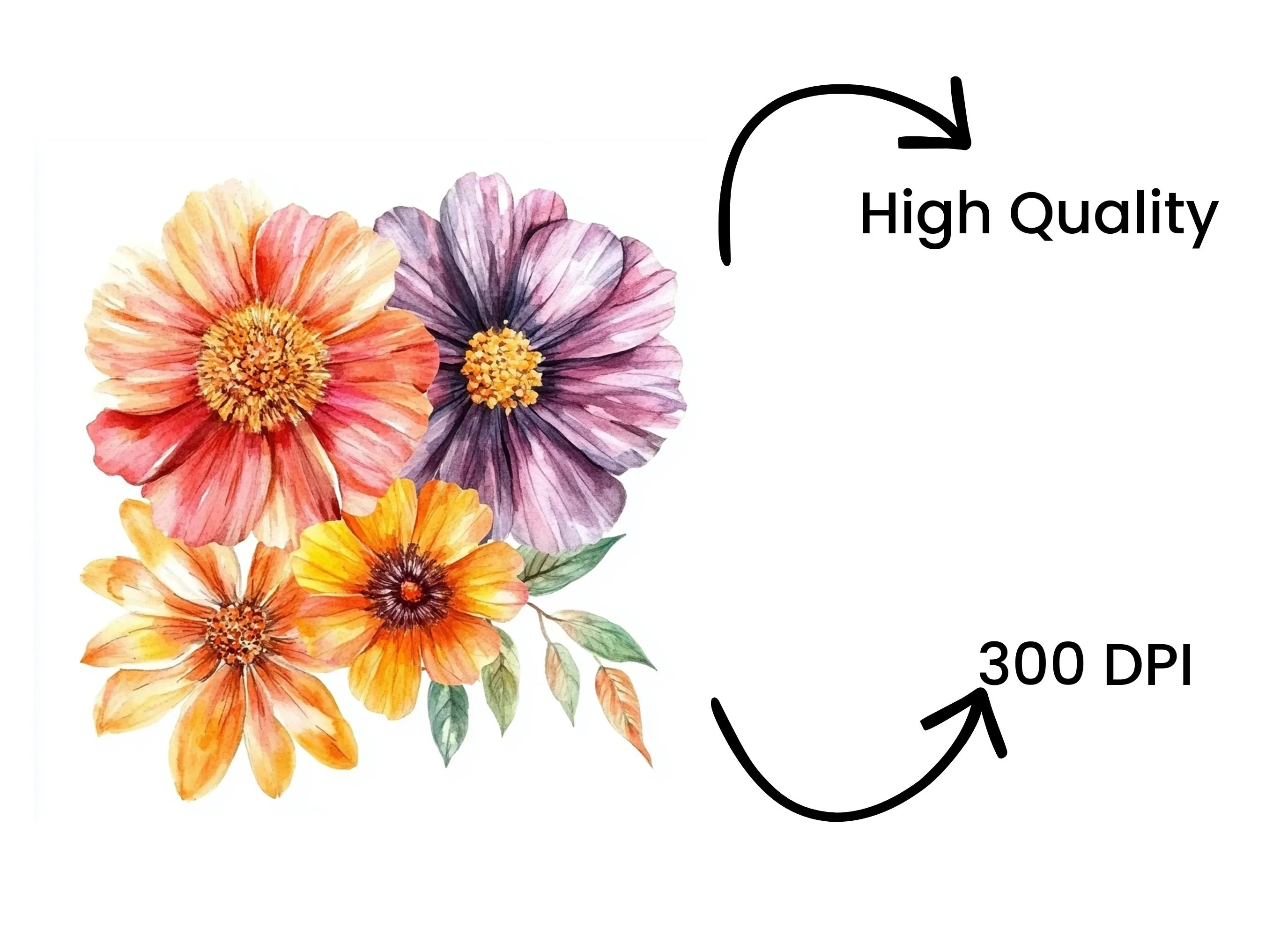Floral Bouquet Clipart Bundle - Image 4
