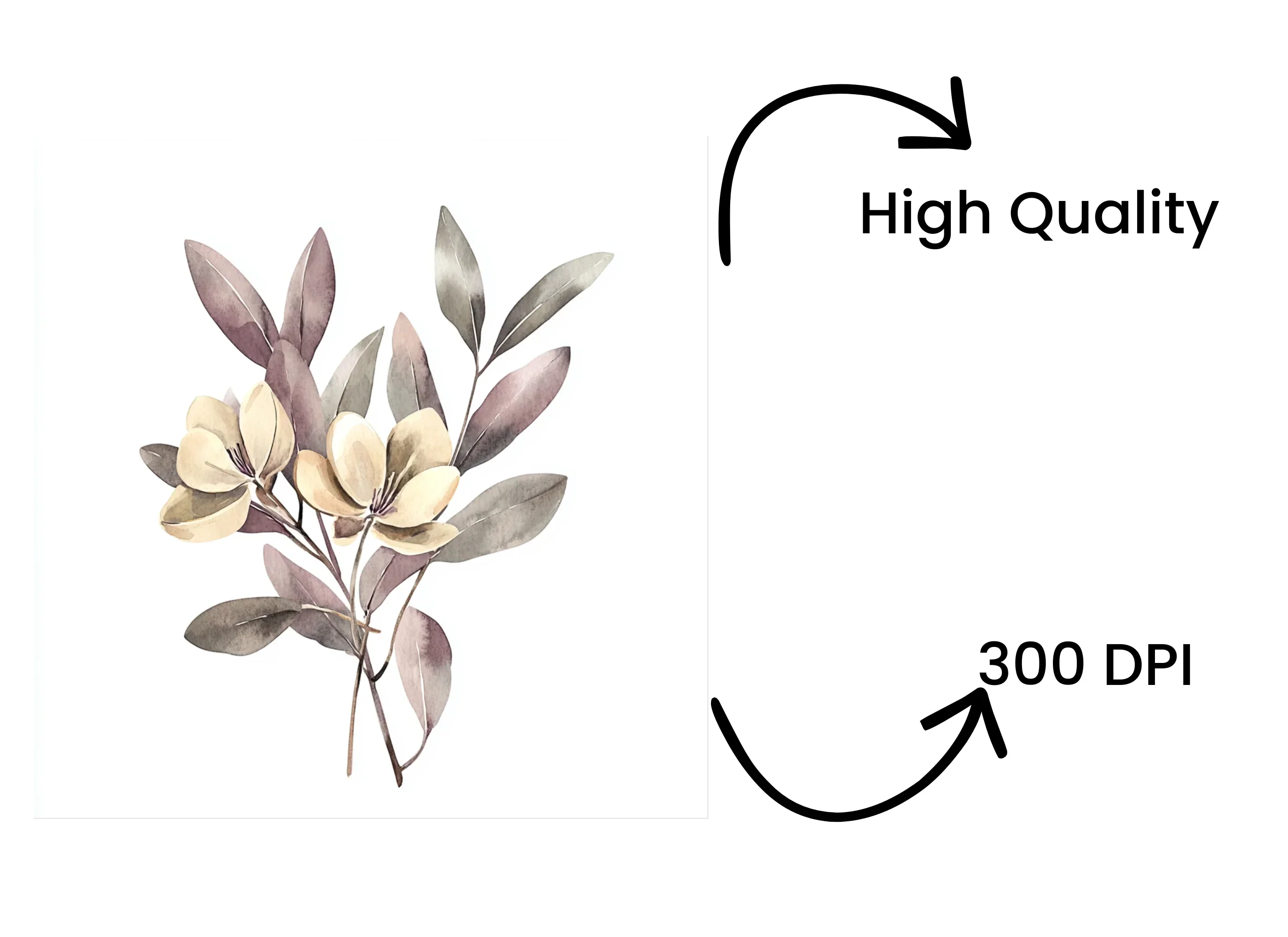 Floral Clipart Bundle - Image 4
