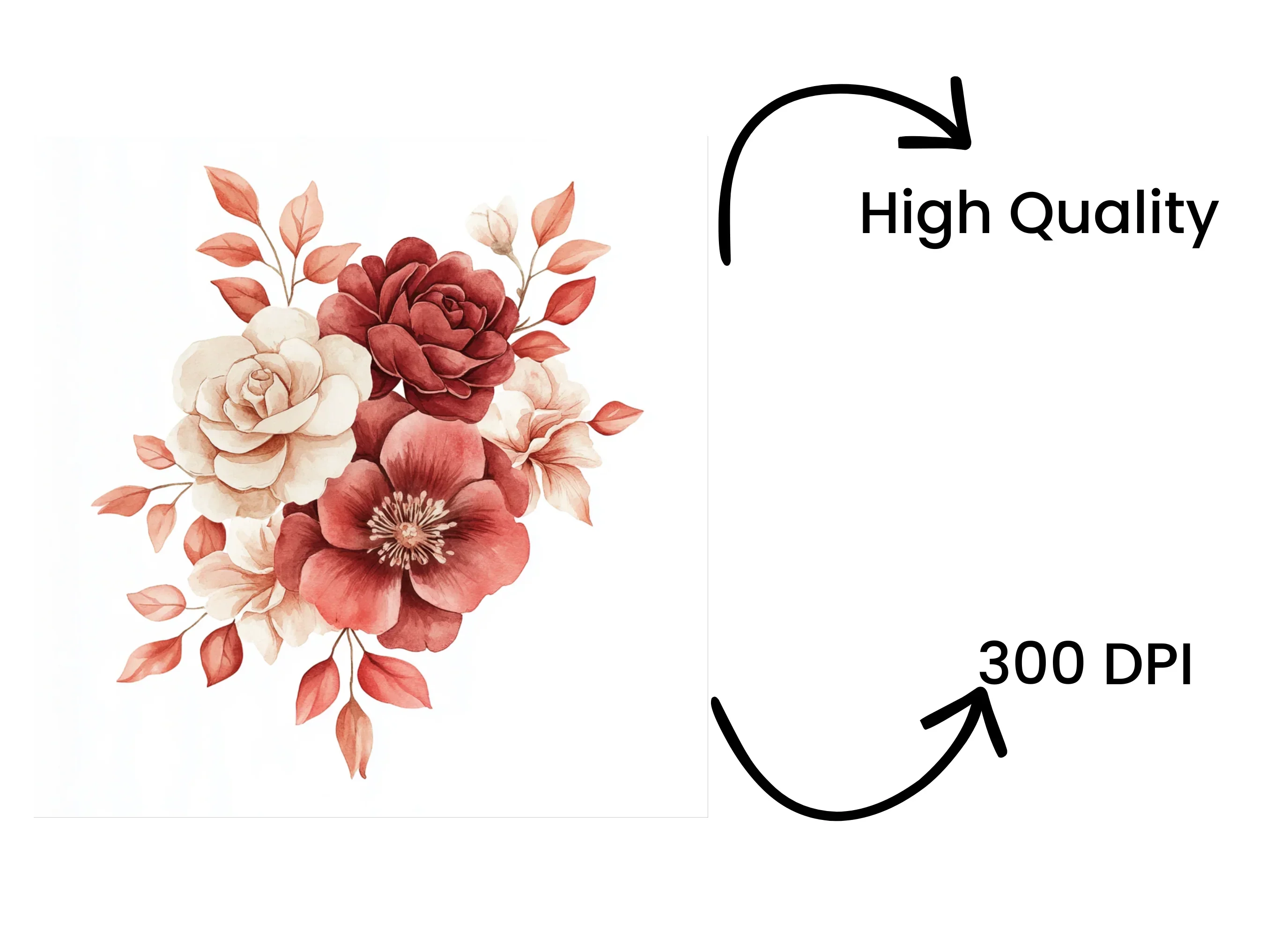 Floral Clipart Bundle - Image 4