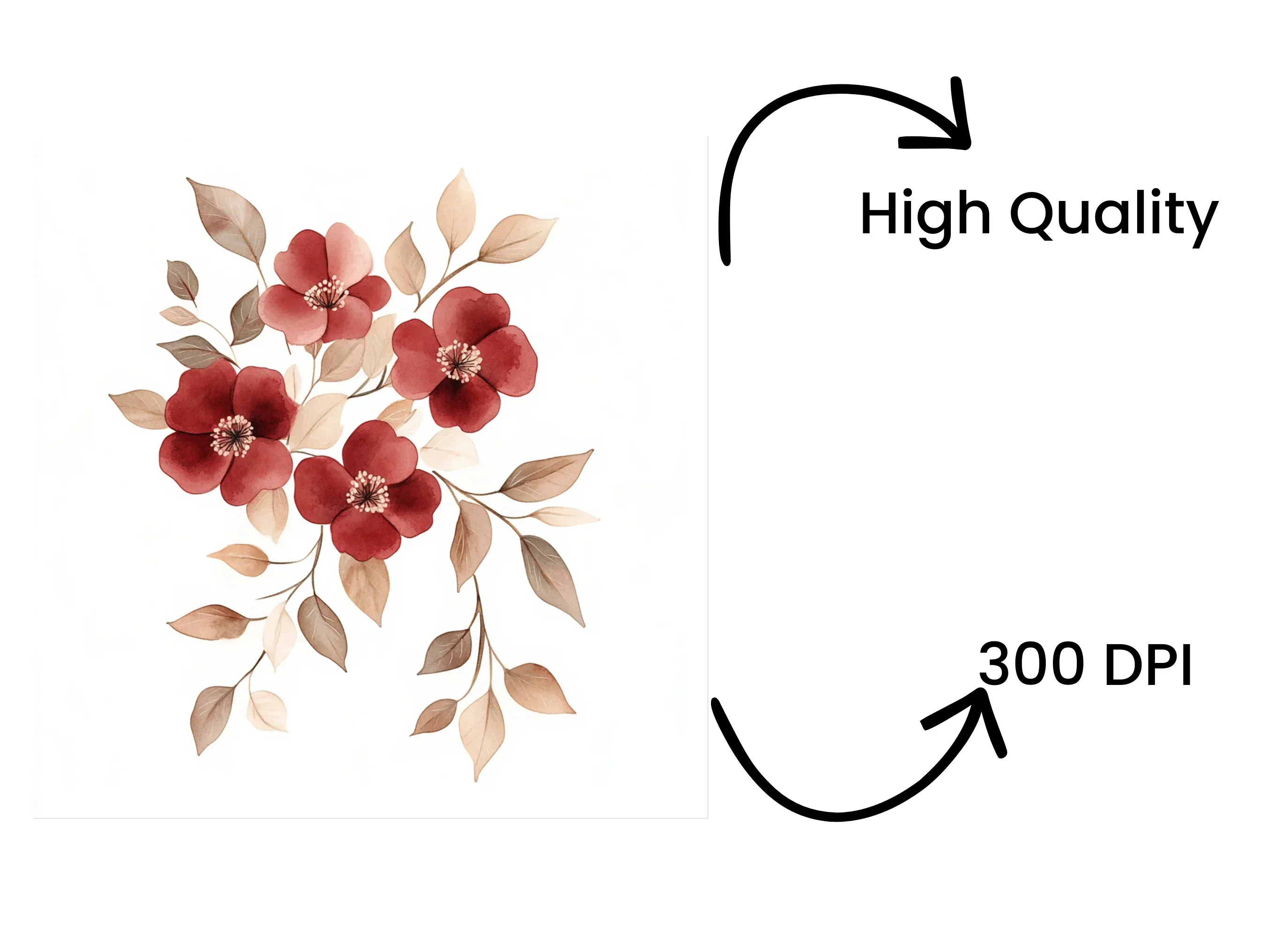 Floral Clipart Bundle - Image 4
