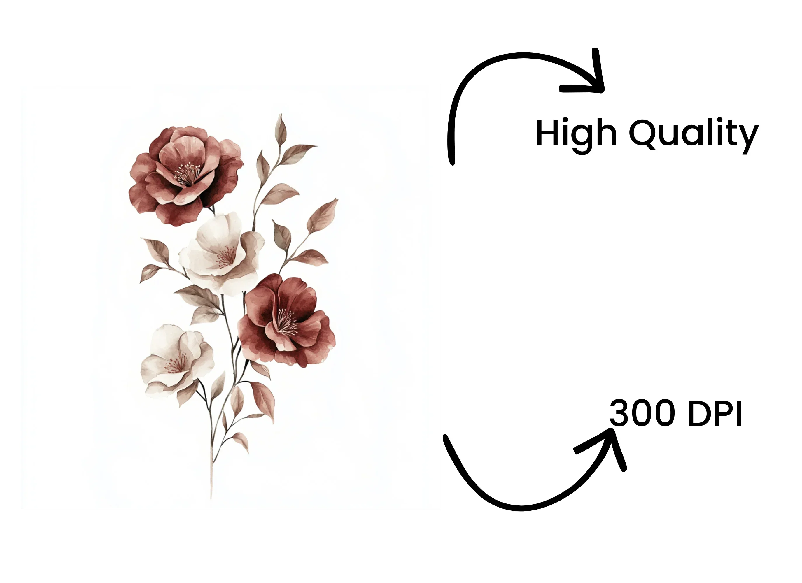 Floral Clipart Bundle - Image 4