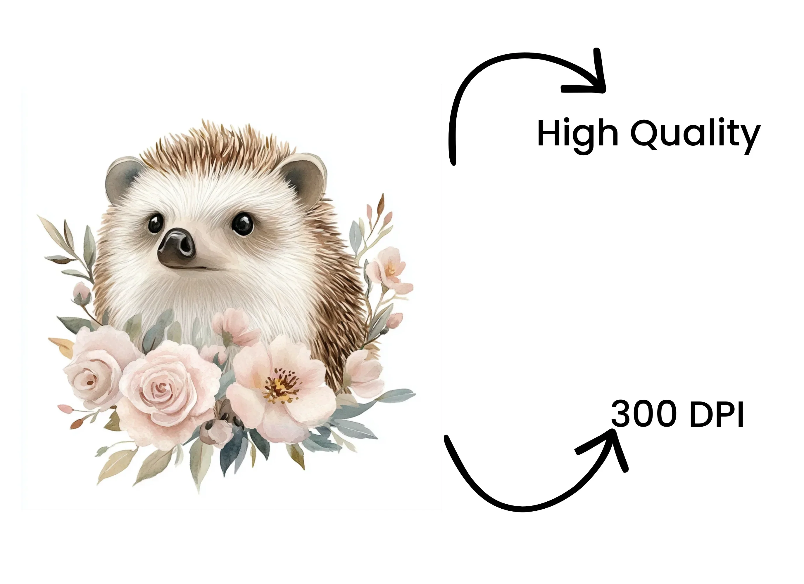Floral Hedgehog Clipart Bundle - Image 4