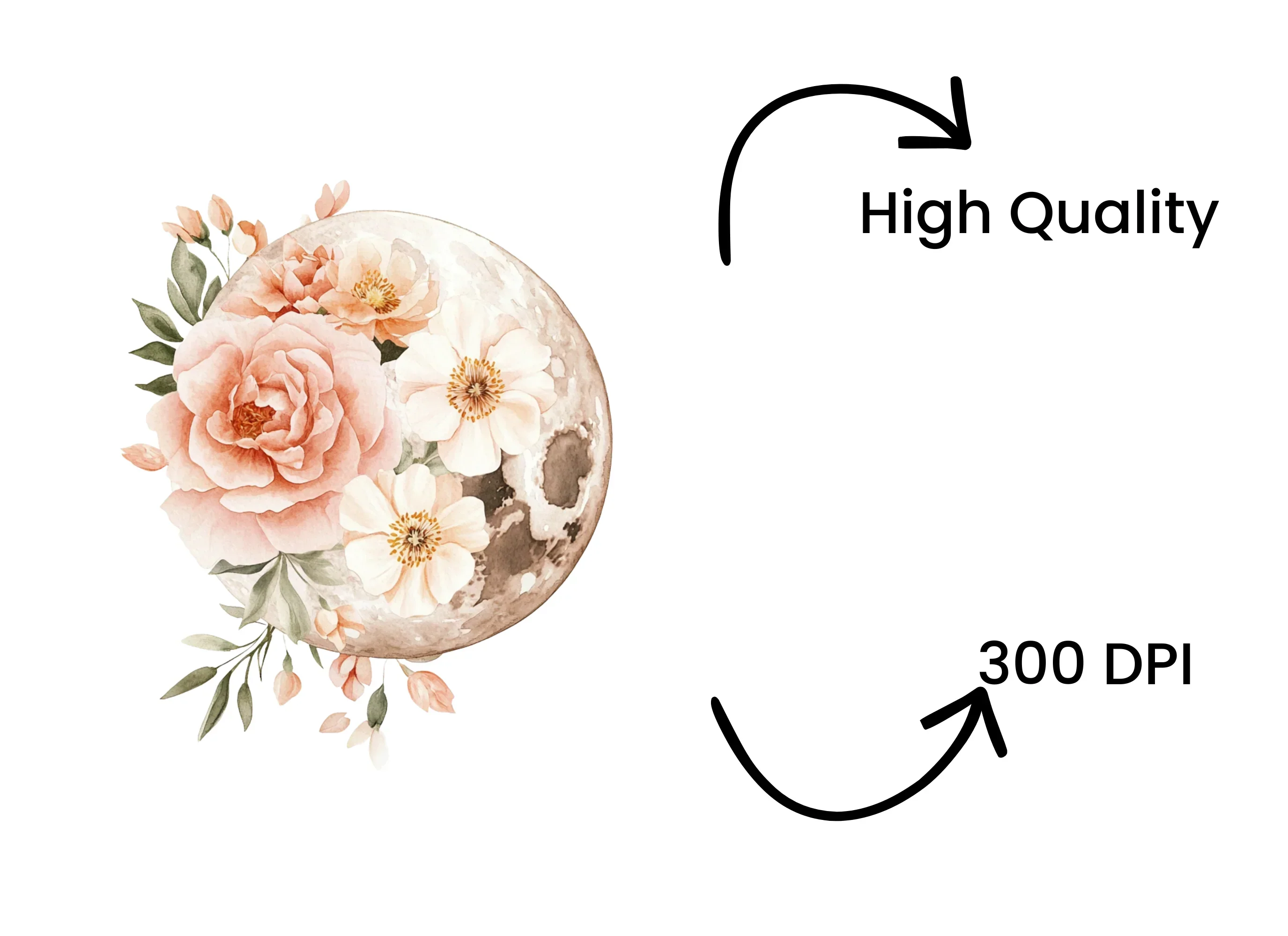 Floral Moon Clipart Bundle - Image 4