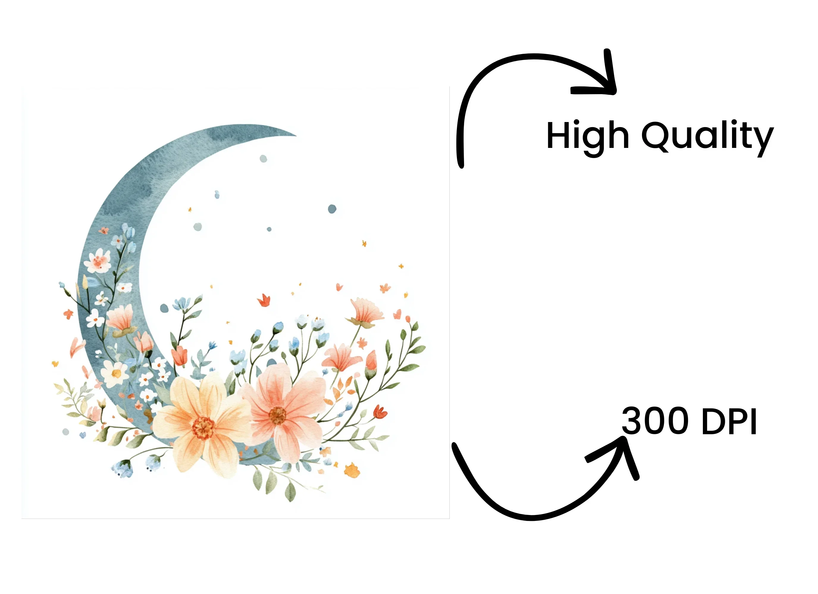 Floral Moon Clipart Bundle - Image 4