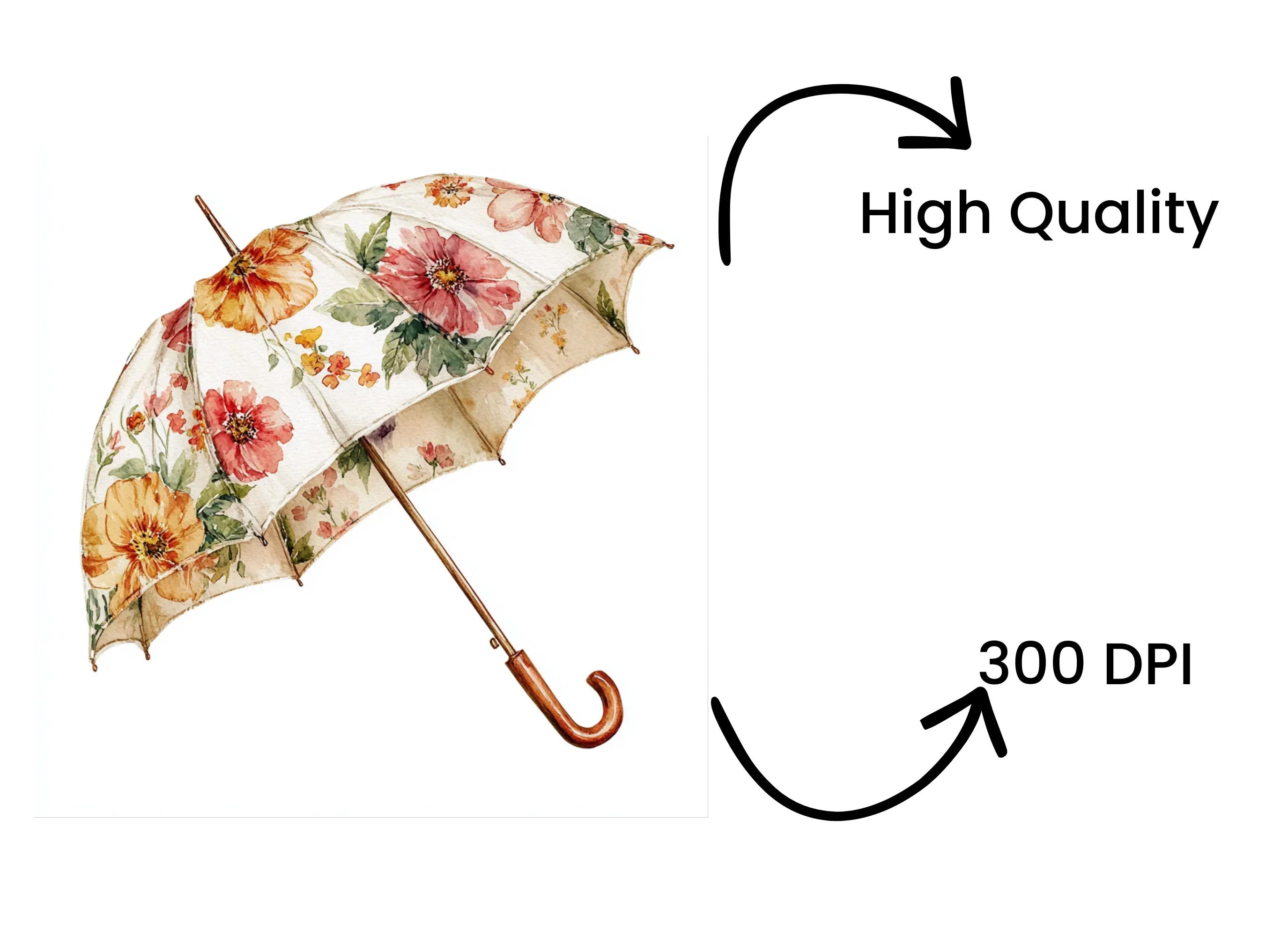 Floral Umbrellas Clipart Bundle - Image 4