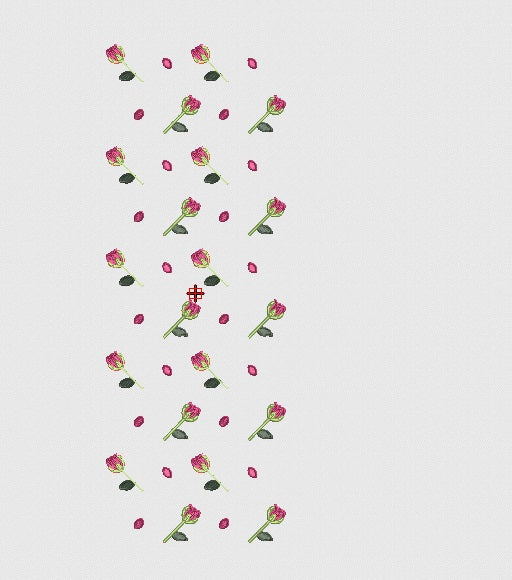 Flower Embroidery Design