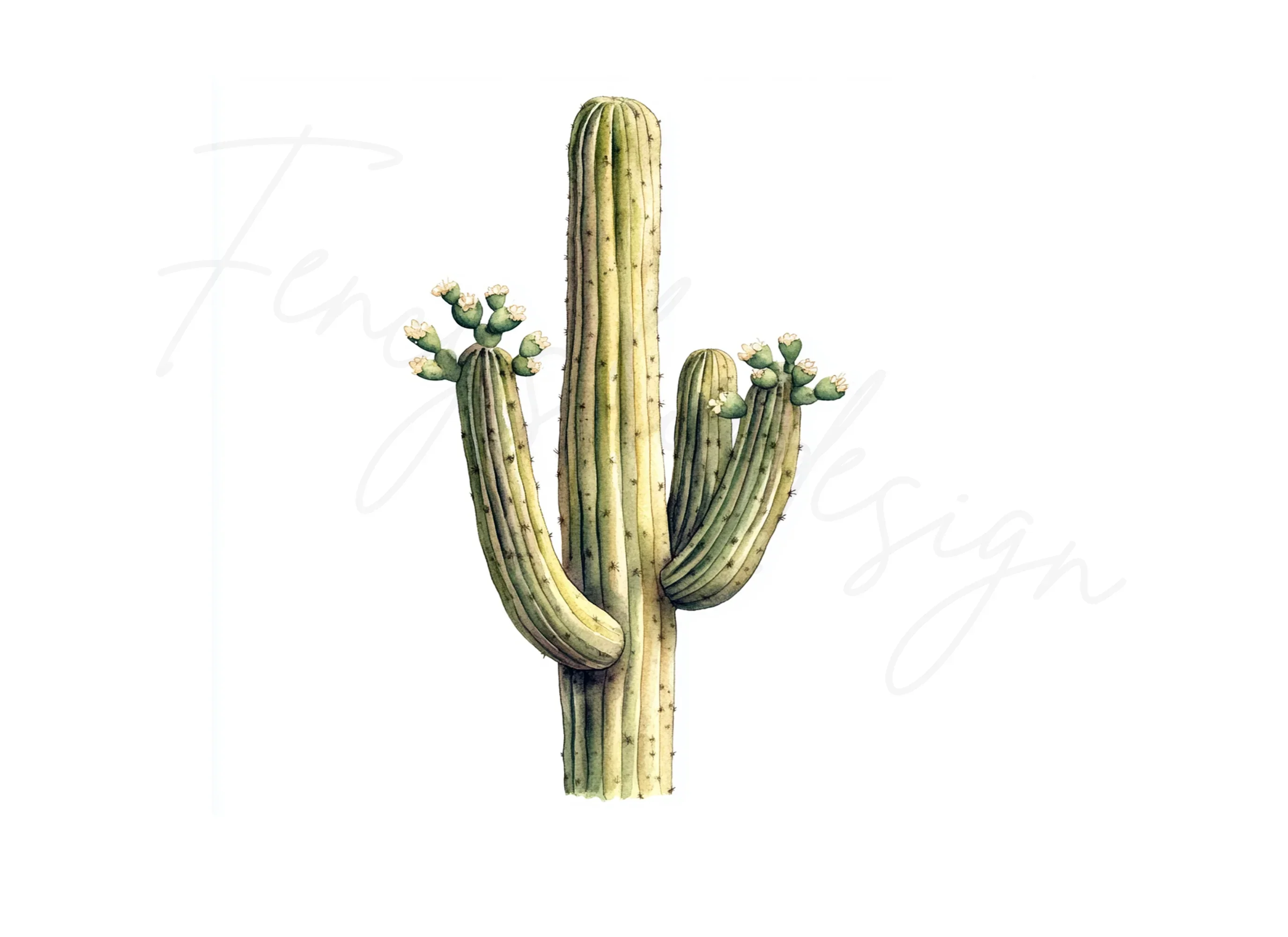 Flowering Saguaro Cactus Clipart Bundle - Image 3