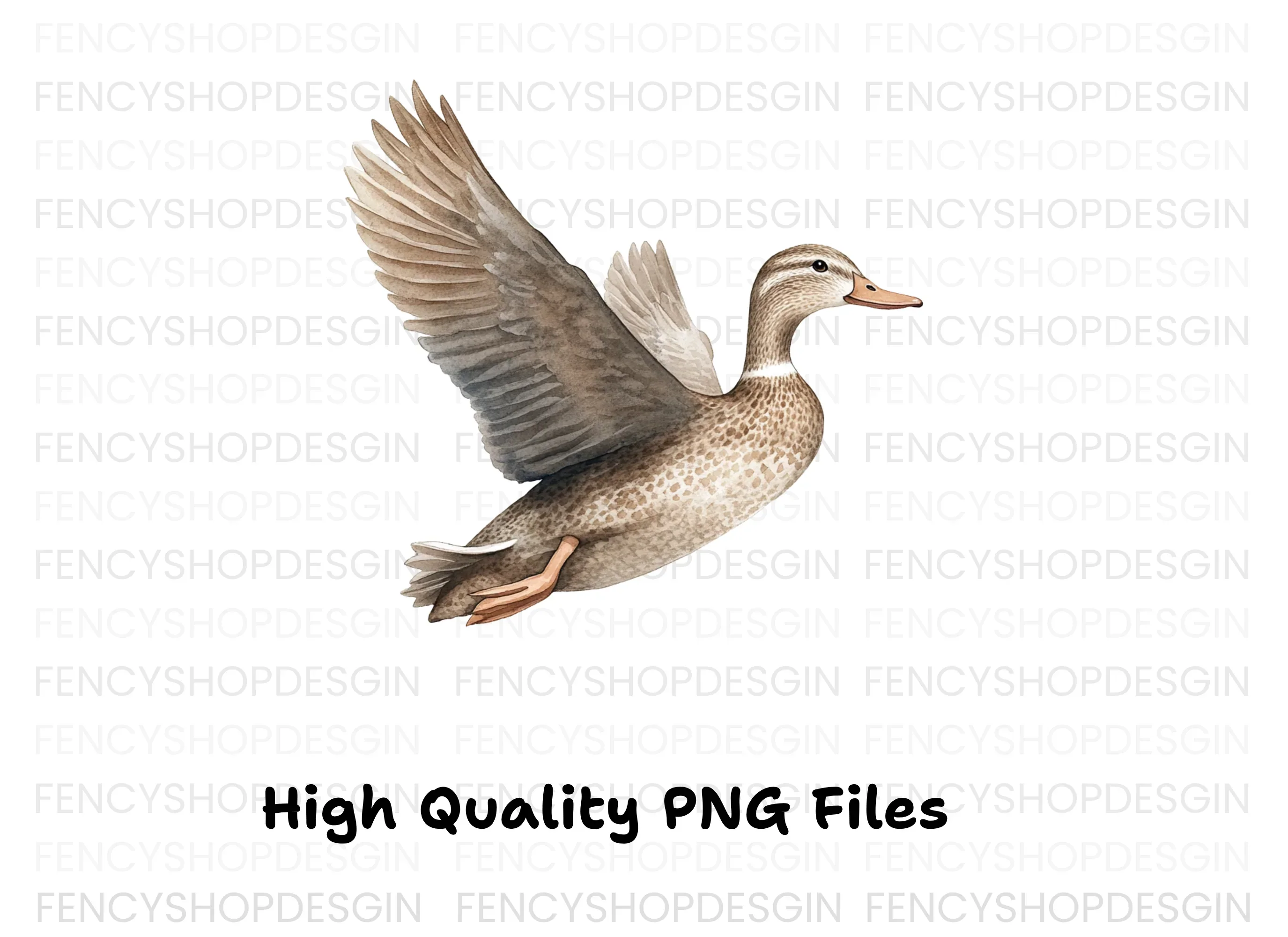 Flying Mallard Duck Clipart Bundle - Image 3