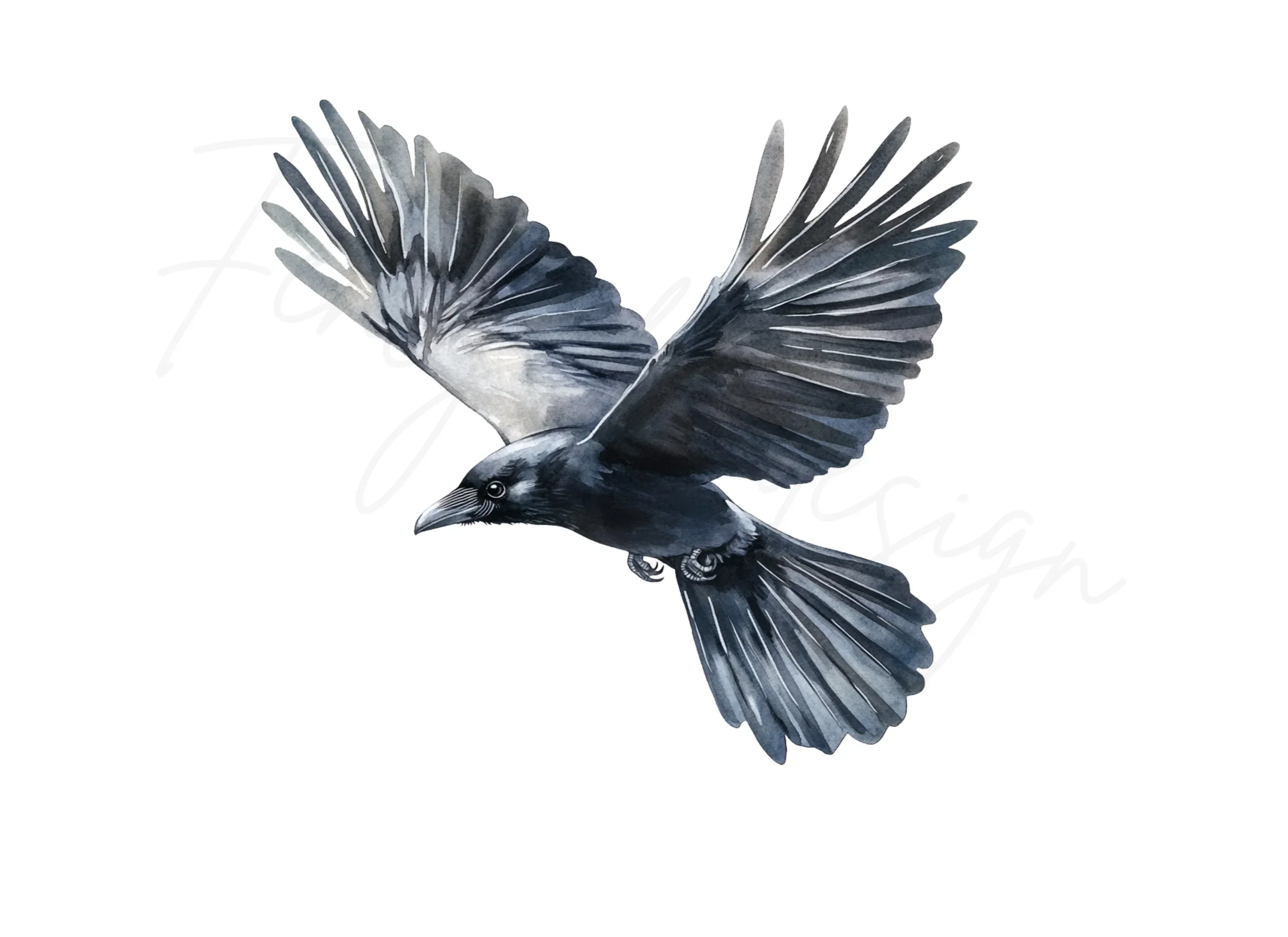 Flying Raven Clipart Bundle - Image 2