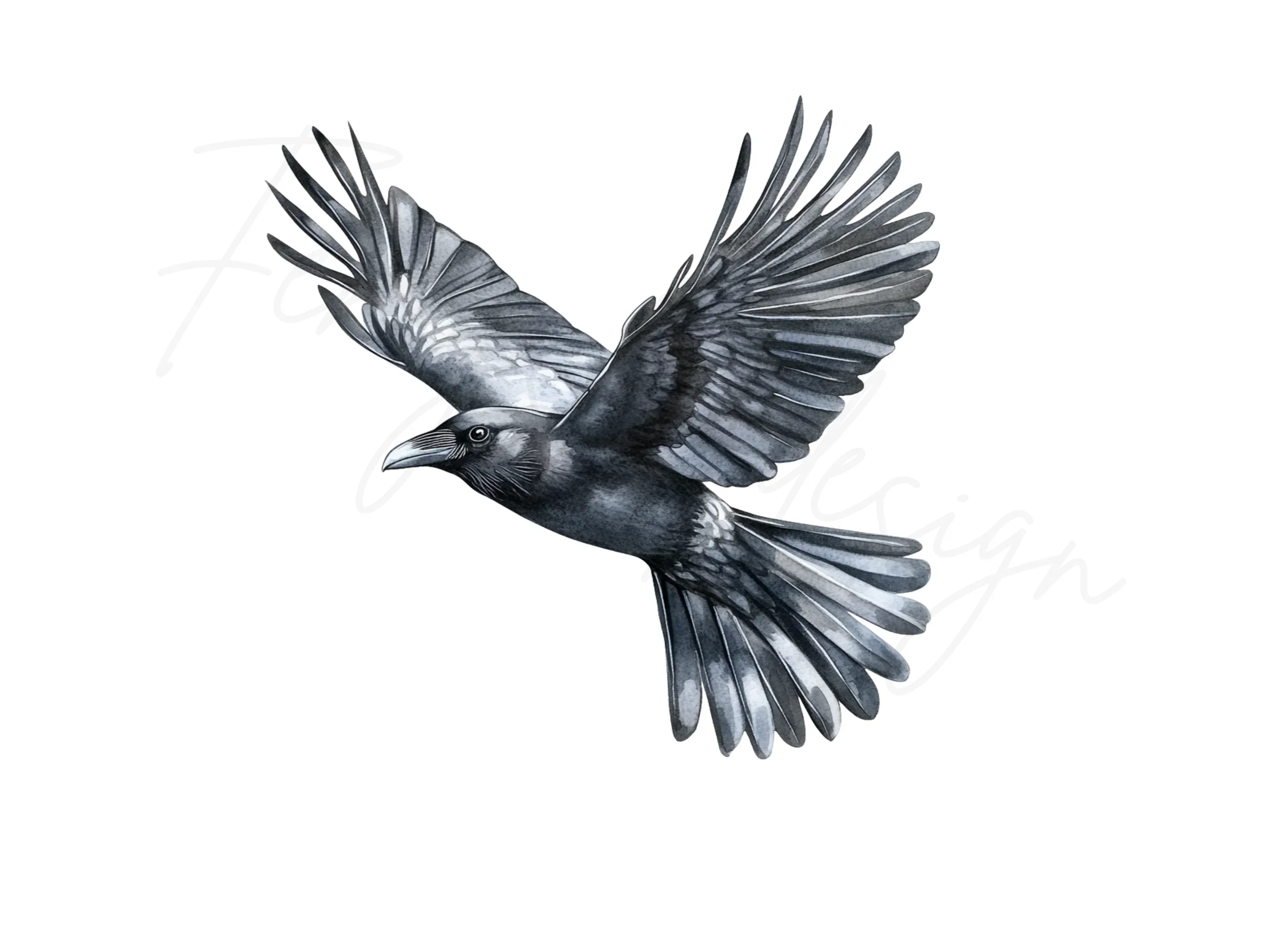 Flying Raven Clipart Bundle - Image 3